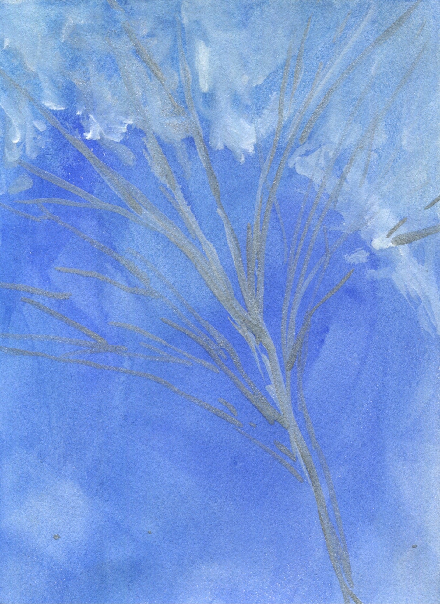 Anne Patterson, Year of Wonder, Feb 12-18, 2020