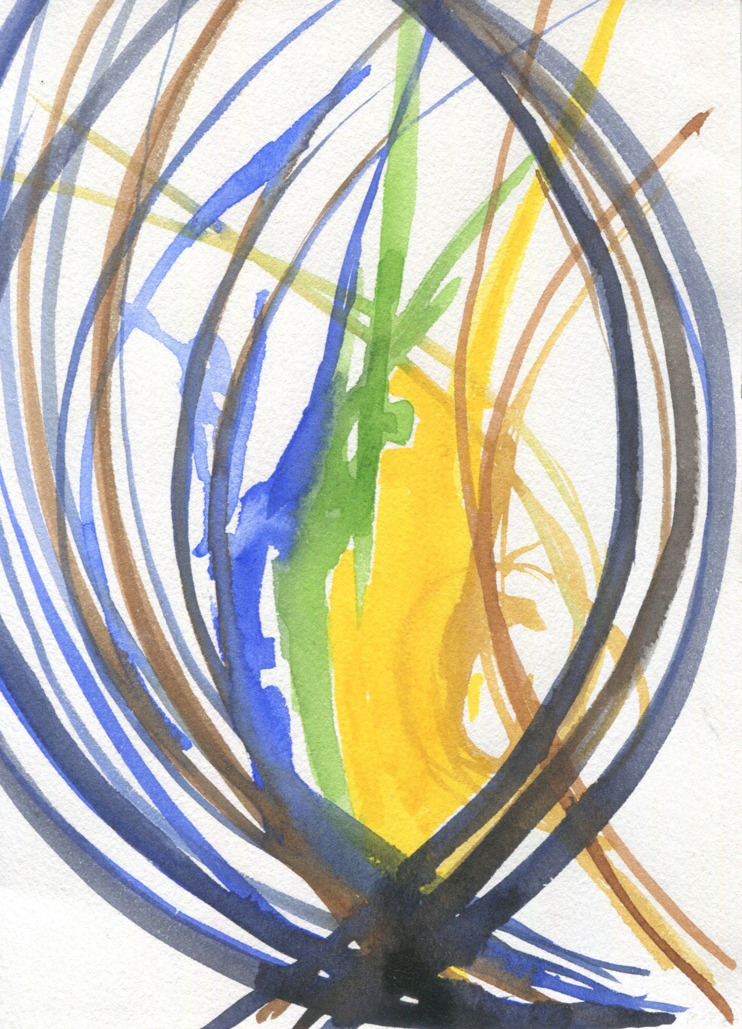 Anne Patterson, Year of Wonder, Feb 12-18, 2020