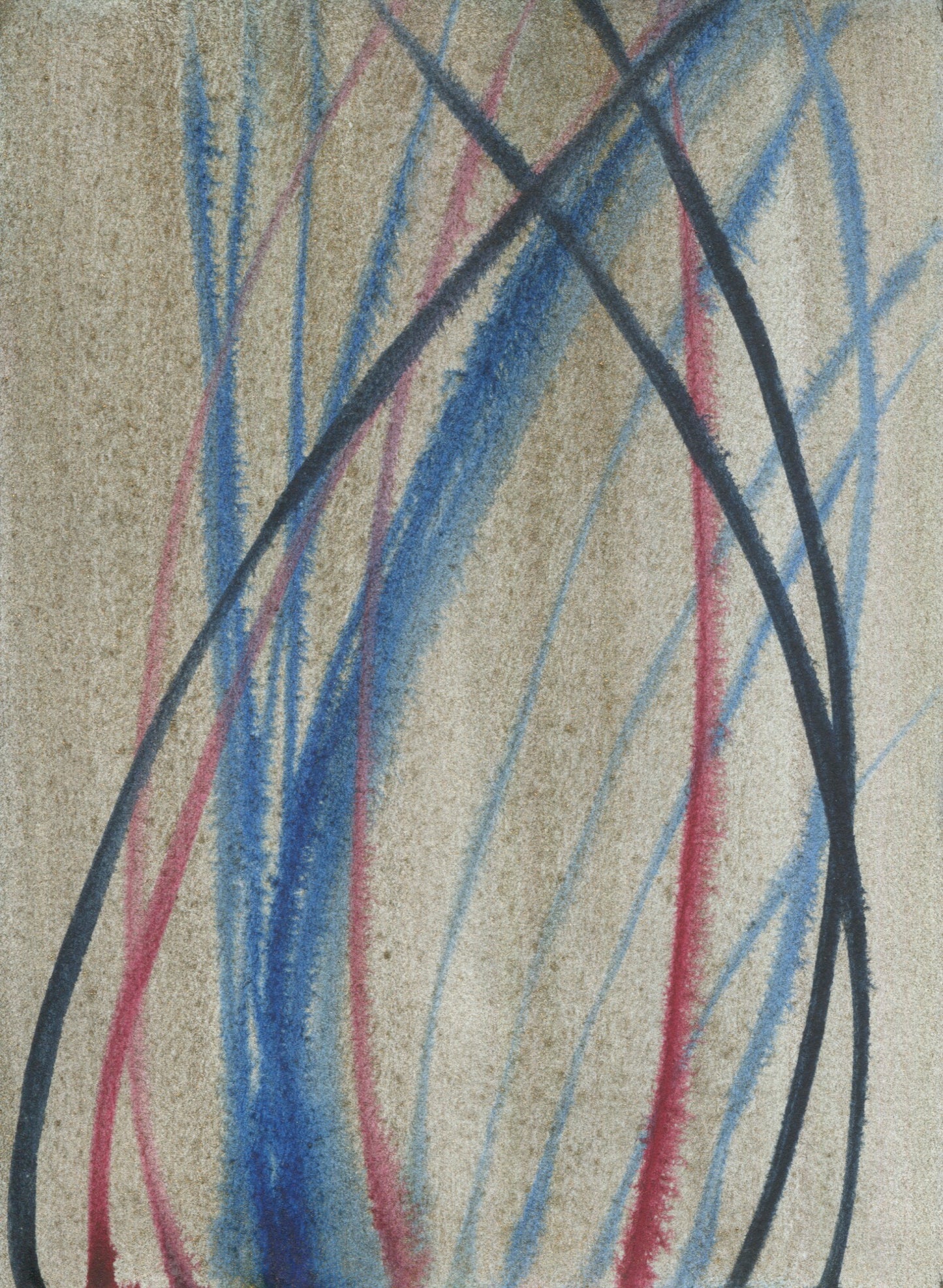 Anne Patterson, Year of Wonder, Feb 12-18, 2020