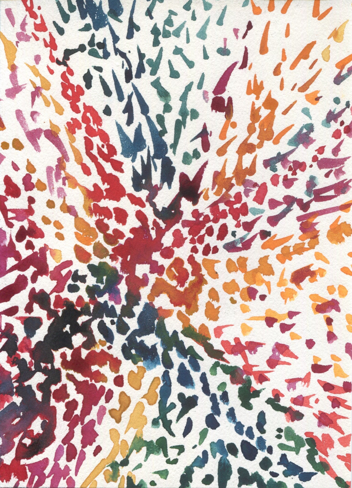Anne Patterson, Year of Wonder, Feb 19-25, 2020