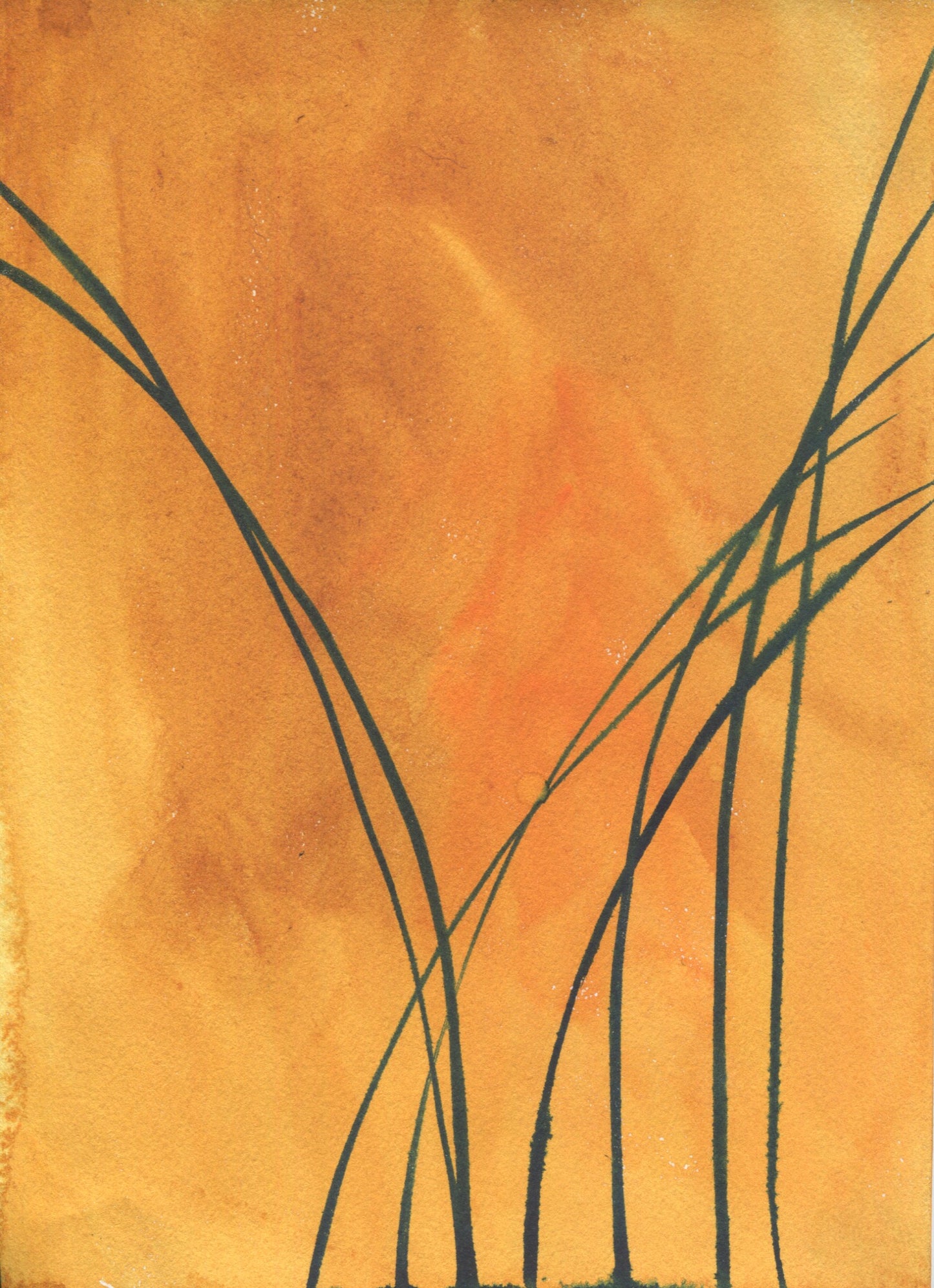 Anne Patterson, Year of Wonder, Feb 19-25, 2020