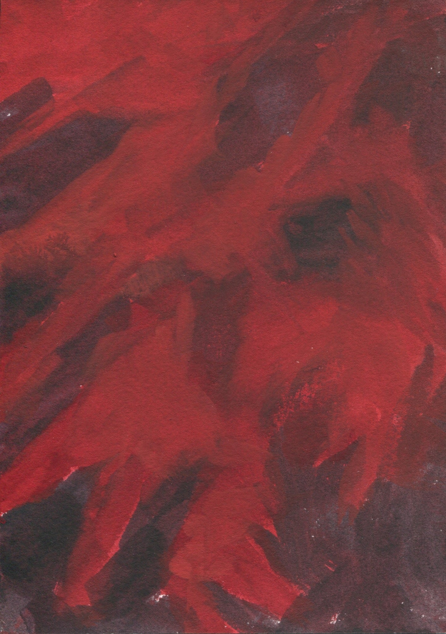 Anne Patterson, Year of Wonder, Feb 26-Mar 3, 2020