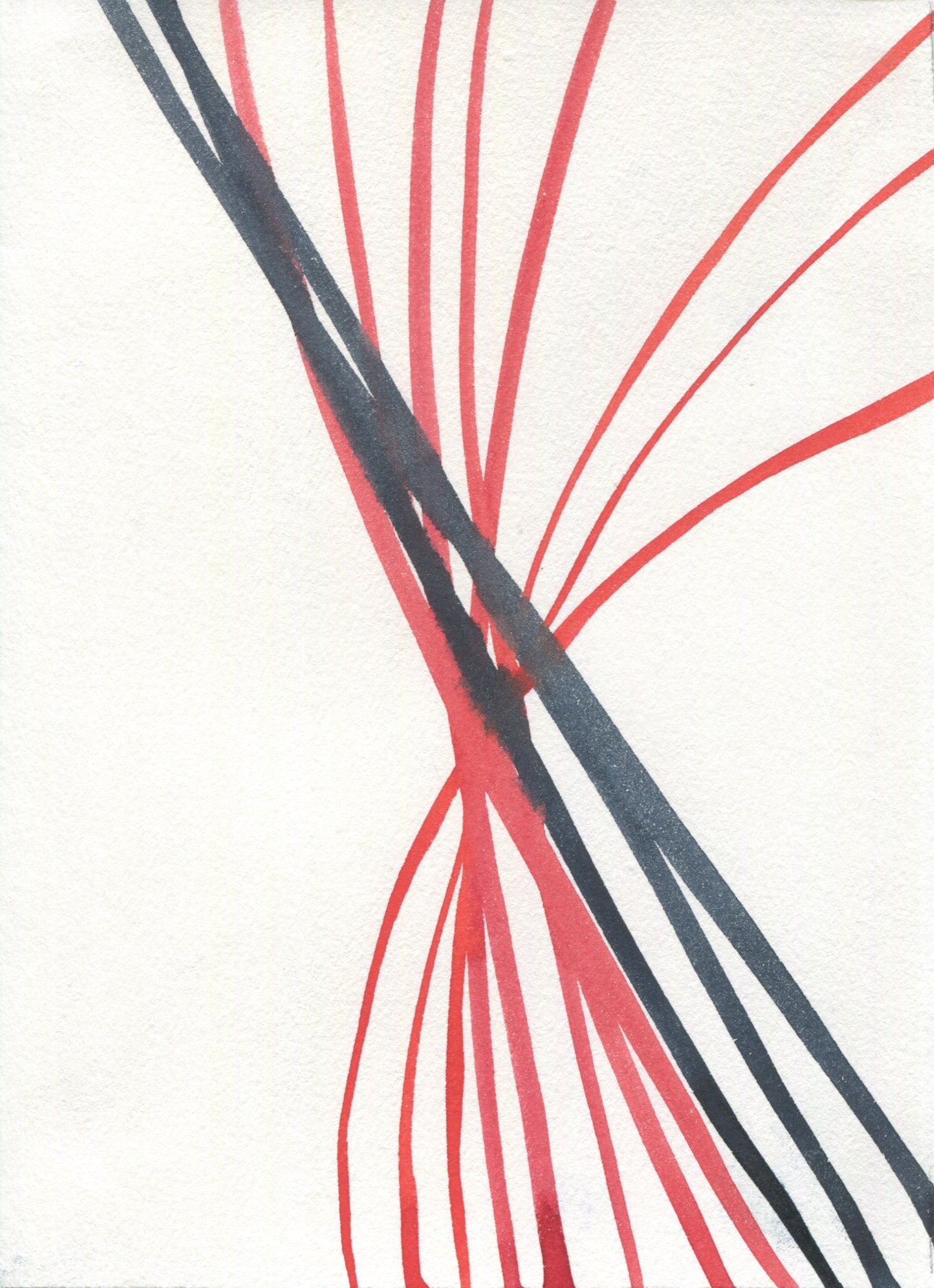 Anne Patterson, Year of Wonder, Feb 26-Mar 3, 2020