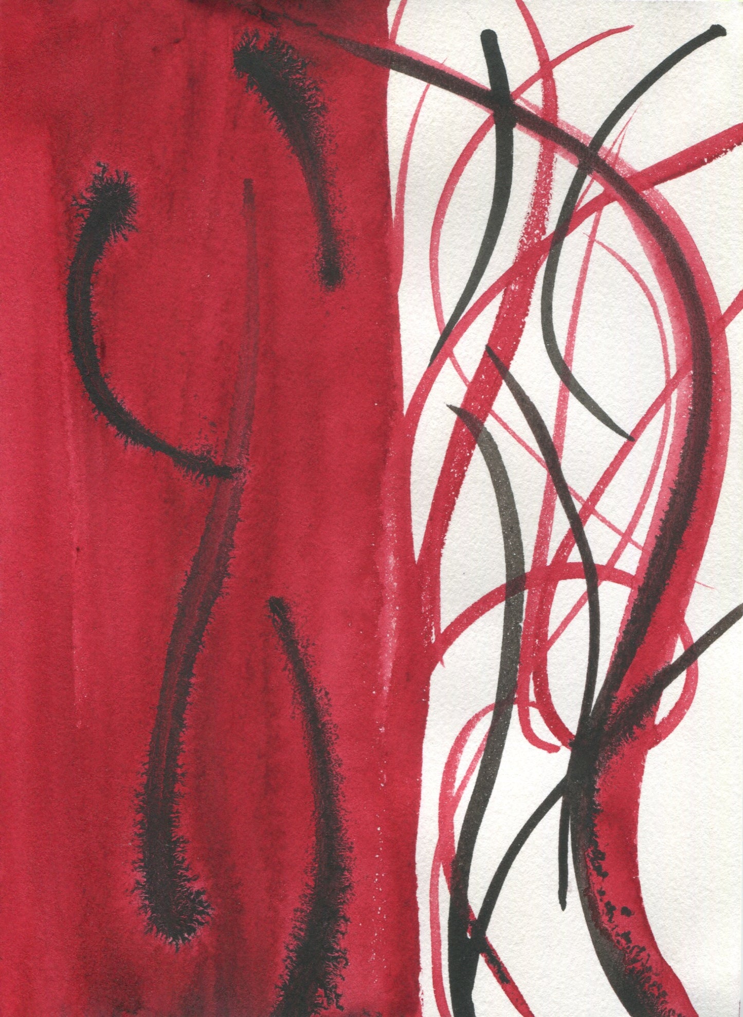 Anne Patterson, Year of Wonder, Mar 11-17, 2020