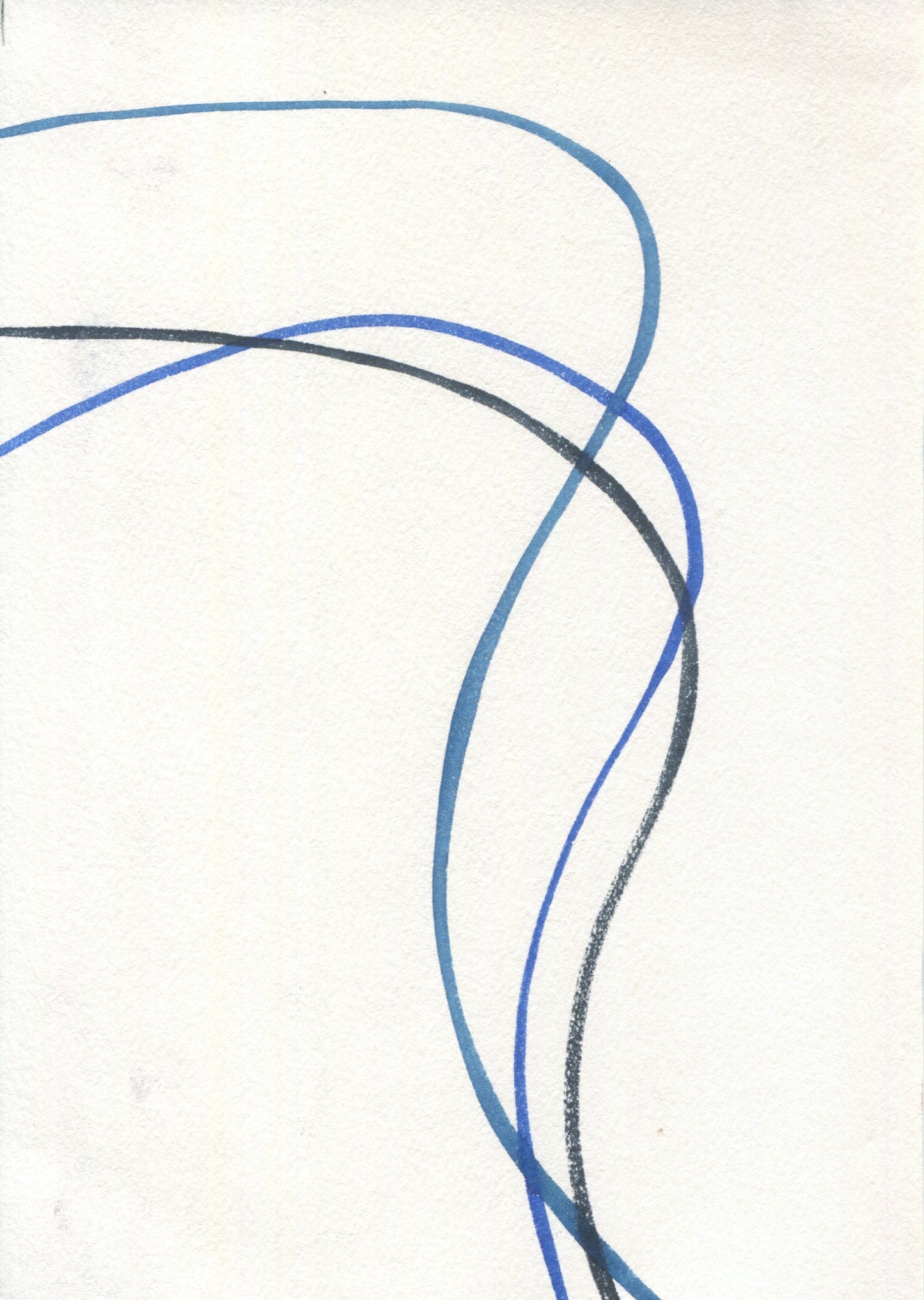 Anne Patterson, Year of Wonder, Mar 18-24, 2020