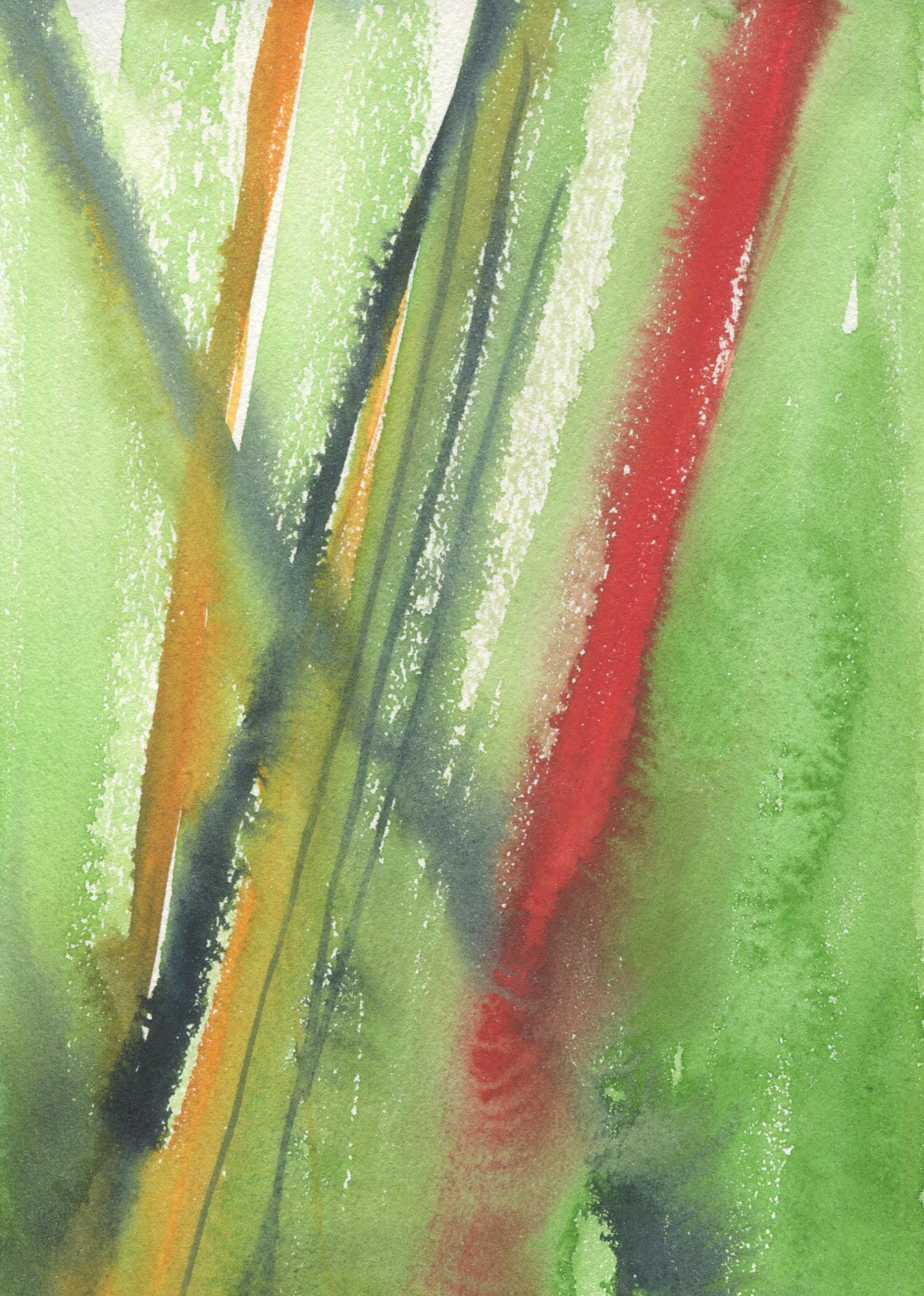 Anne Patterson, Year of Wonder, Mar 18-24, 2020