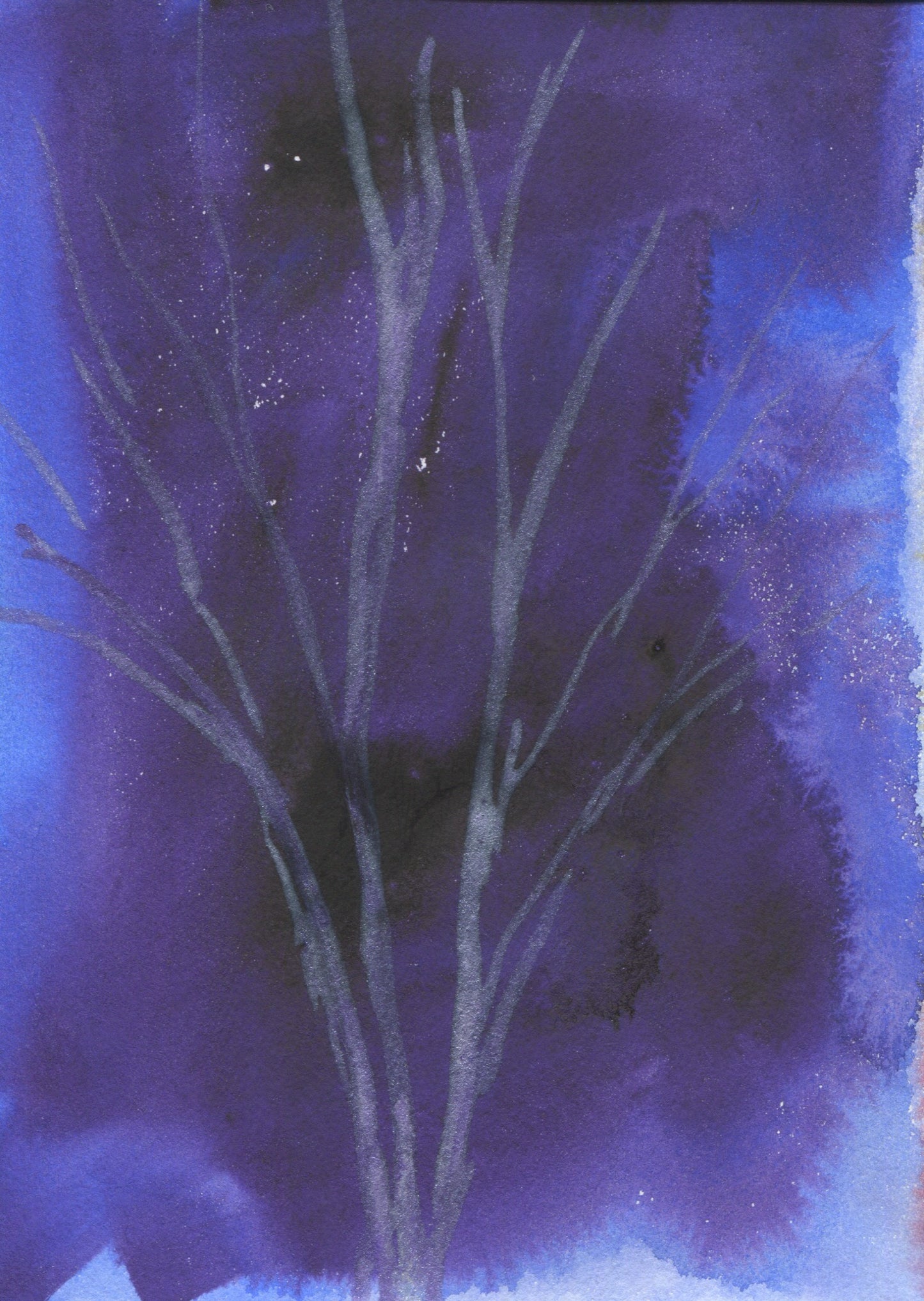 Anne Patterson, Year of Wonder, Mar 25-31, 2020