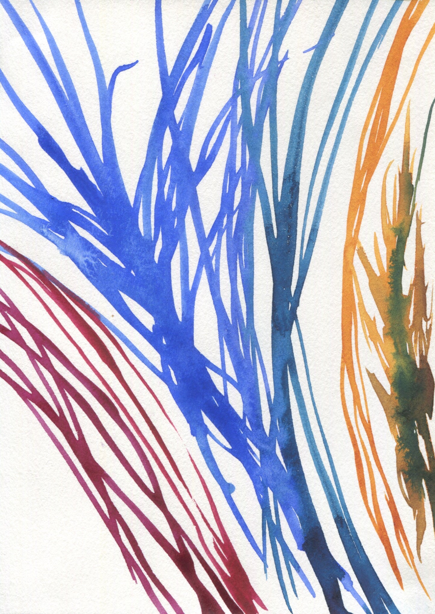 Anne Patterson, Year of Wonder, Apr 1-7, 2020