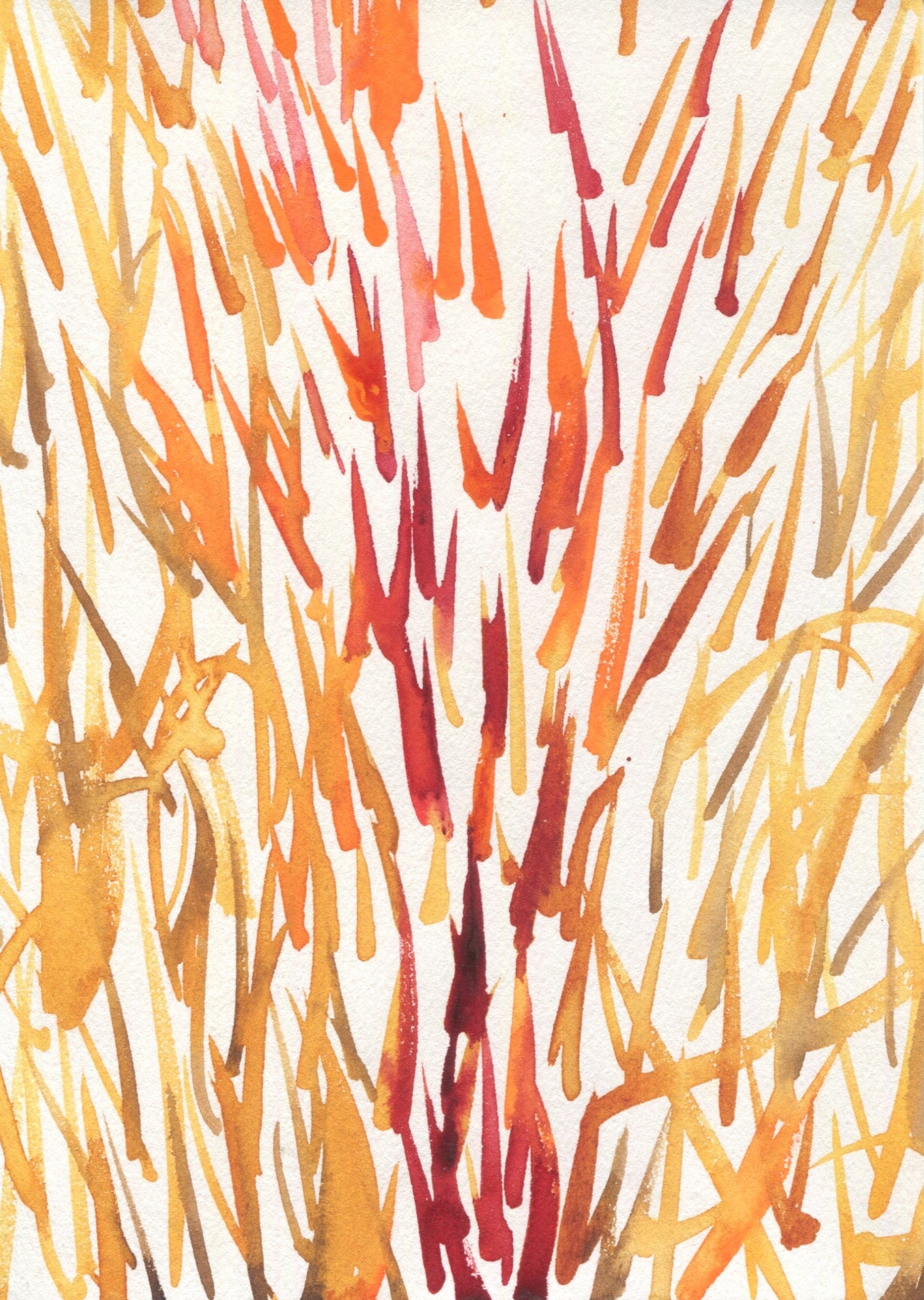 Anne Patterson, Year of Wonder, Apr 1-7, 2020
