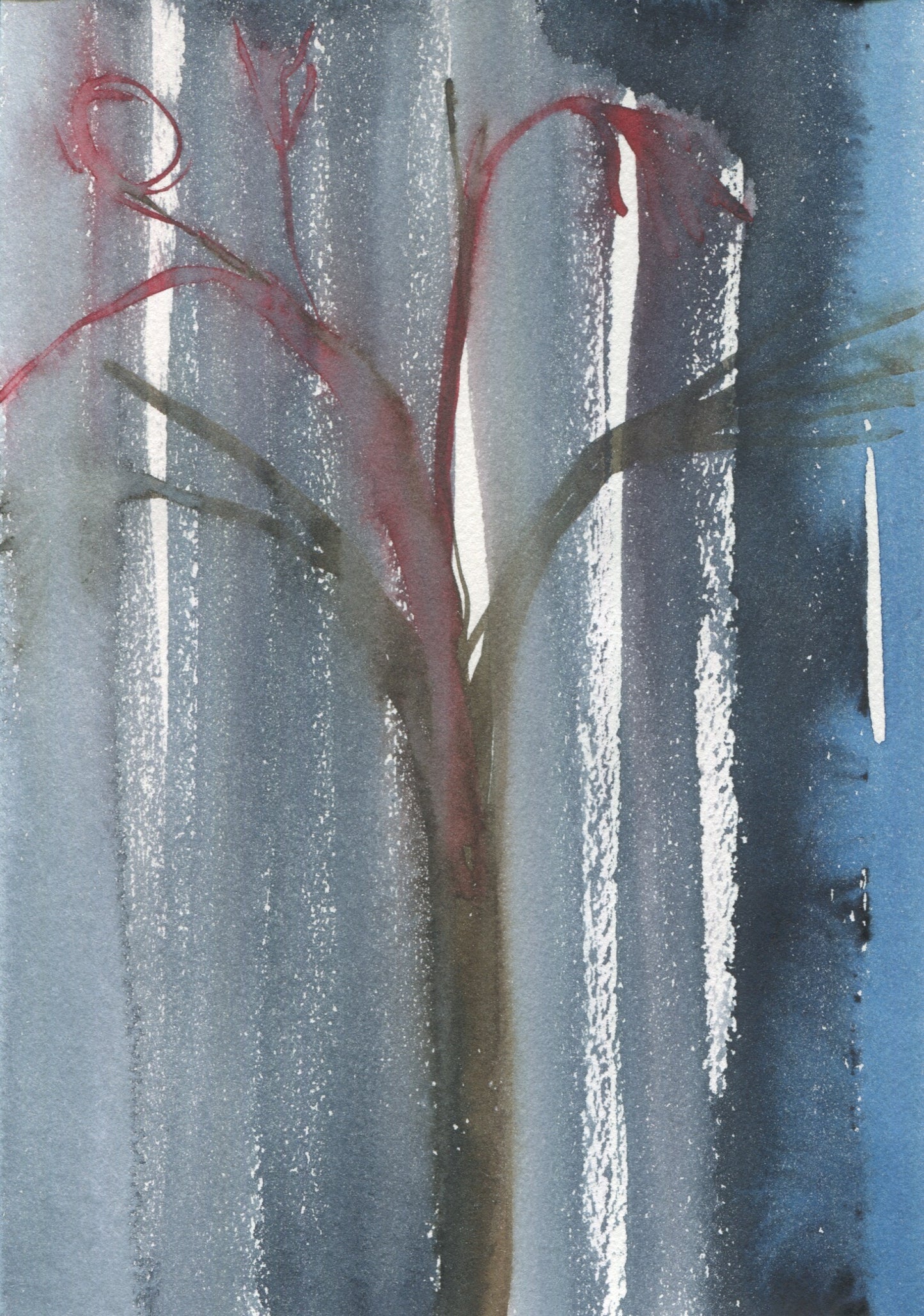 Anne Patterson, Year of Wonder, Apr 8-14, 2020