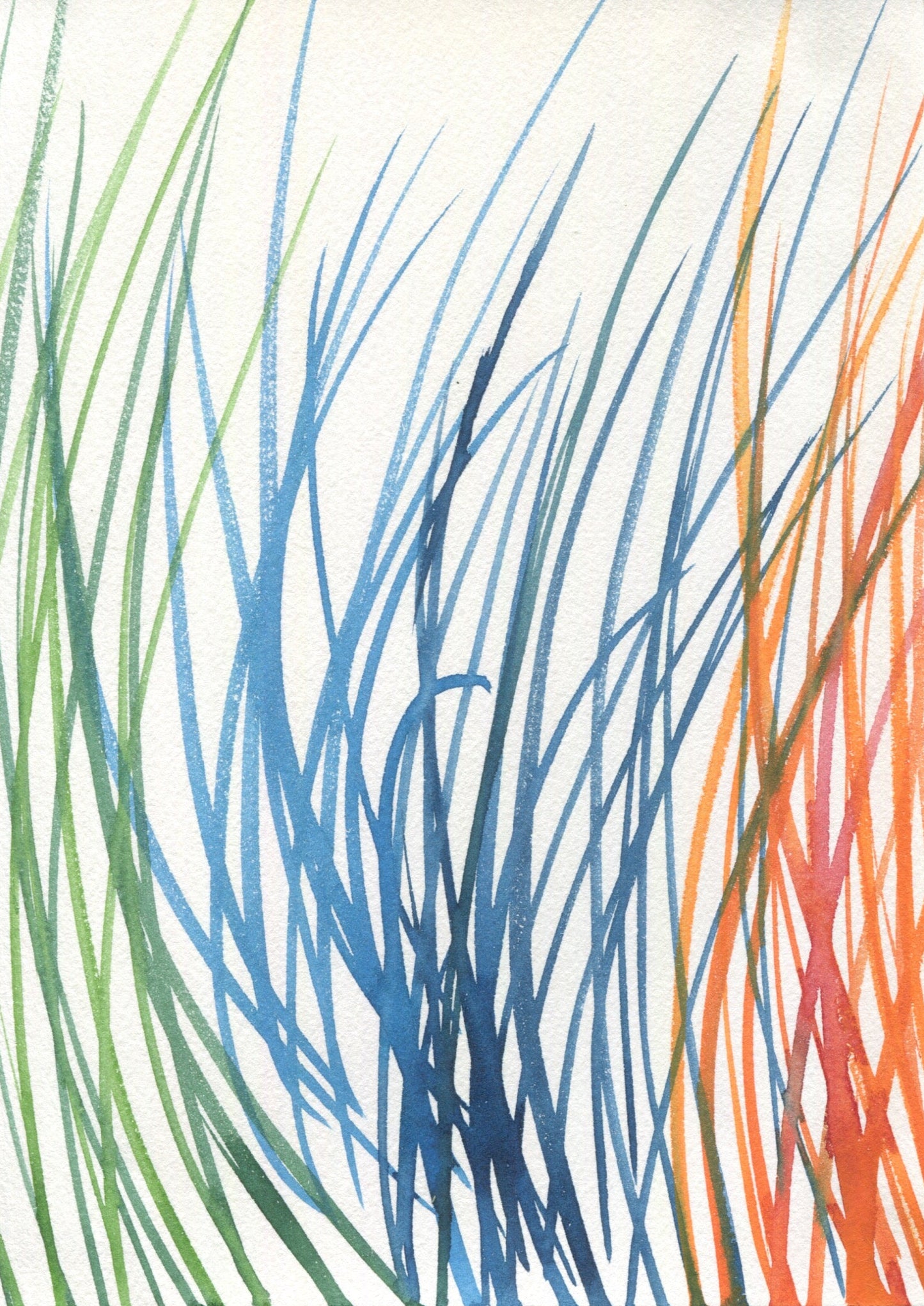 Anne Patterson, Year of Wonder, Apr 22-28, 2020