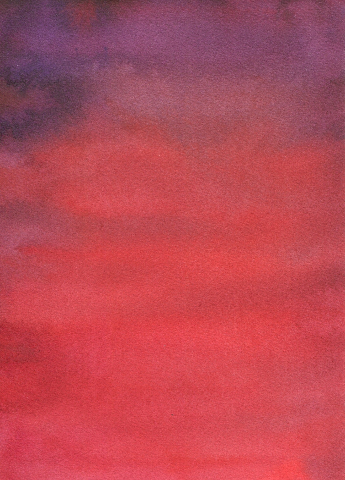 Anne Patterson, Year of Wonder, May 6-12, 2020