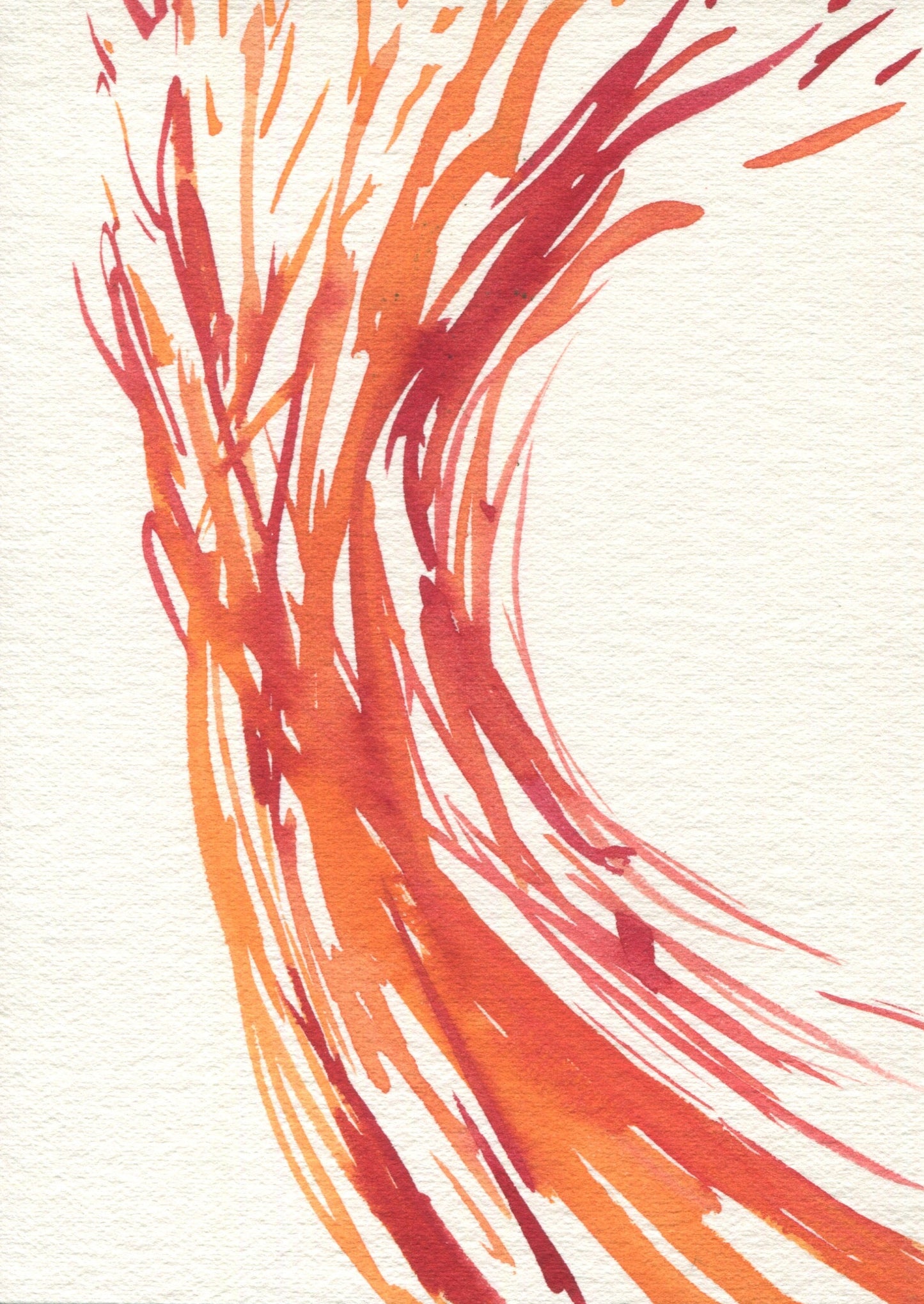 Anne Patterson, Year of Wonder, May 13-19, 2020