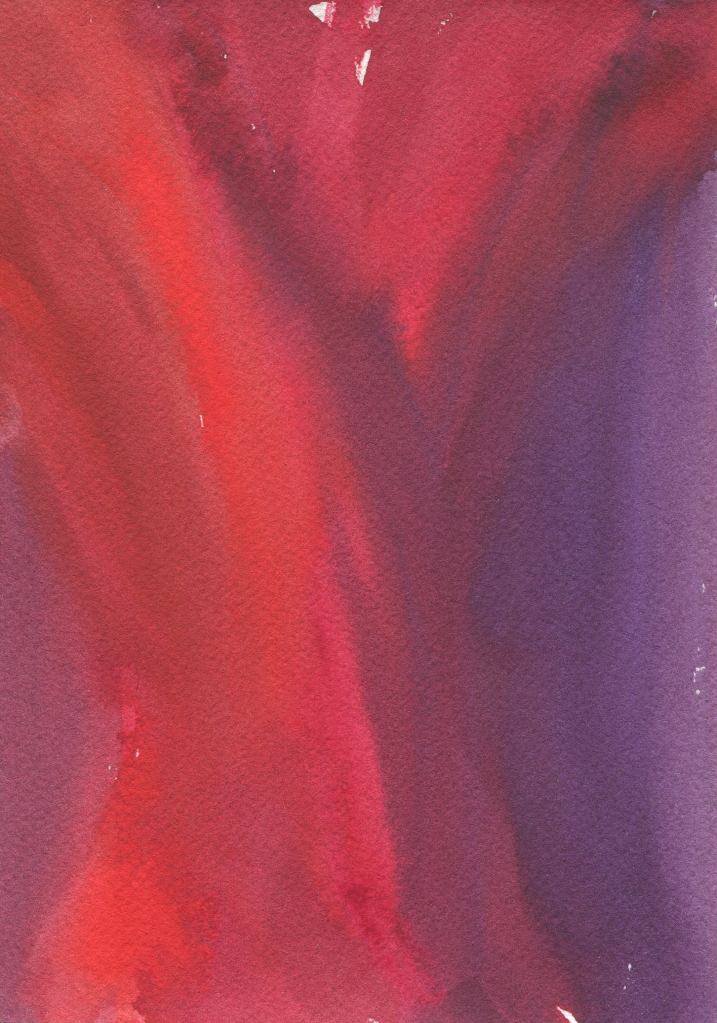 Anne Patterson, Year of Wonder, May 20-26, 2020