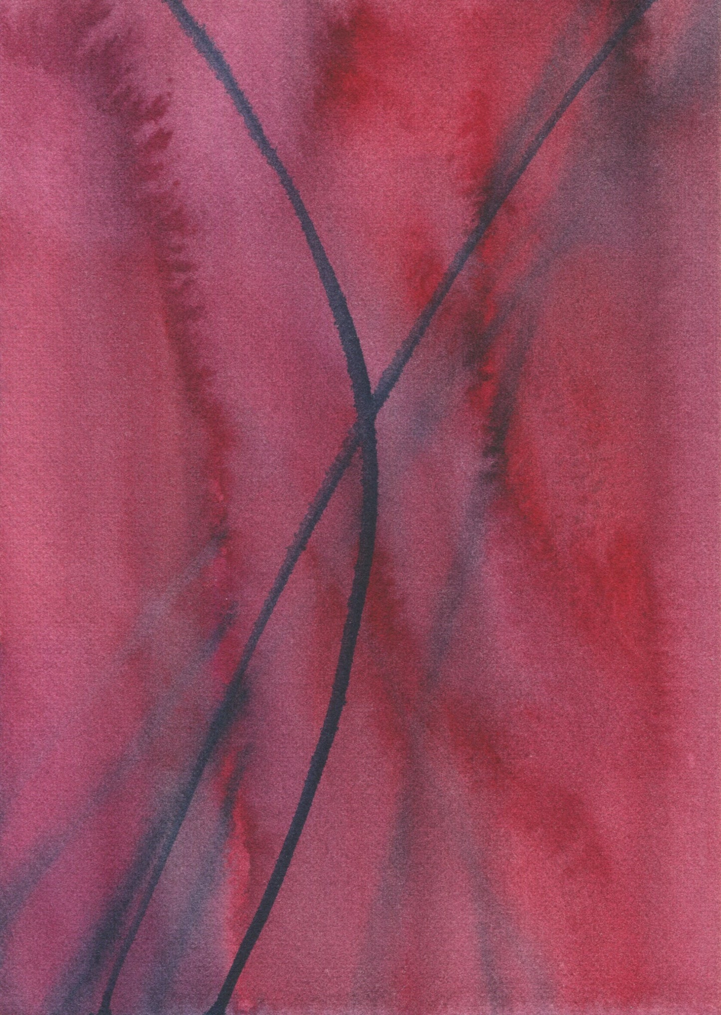 Anne Patterson, Year of Wonder, May 20-26, 2020
