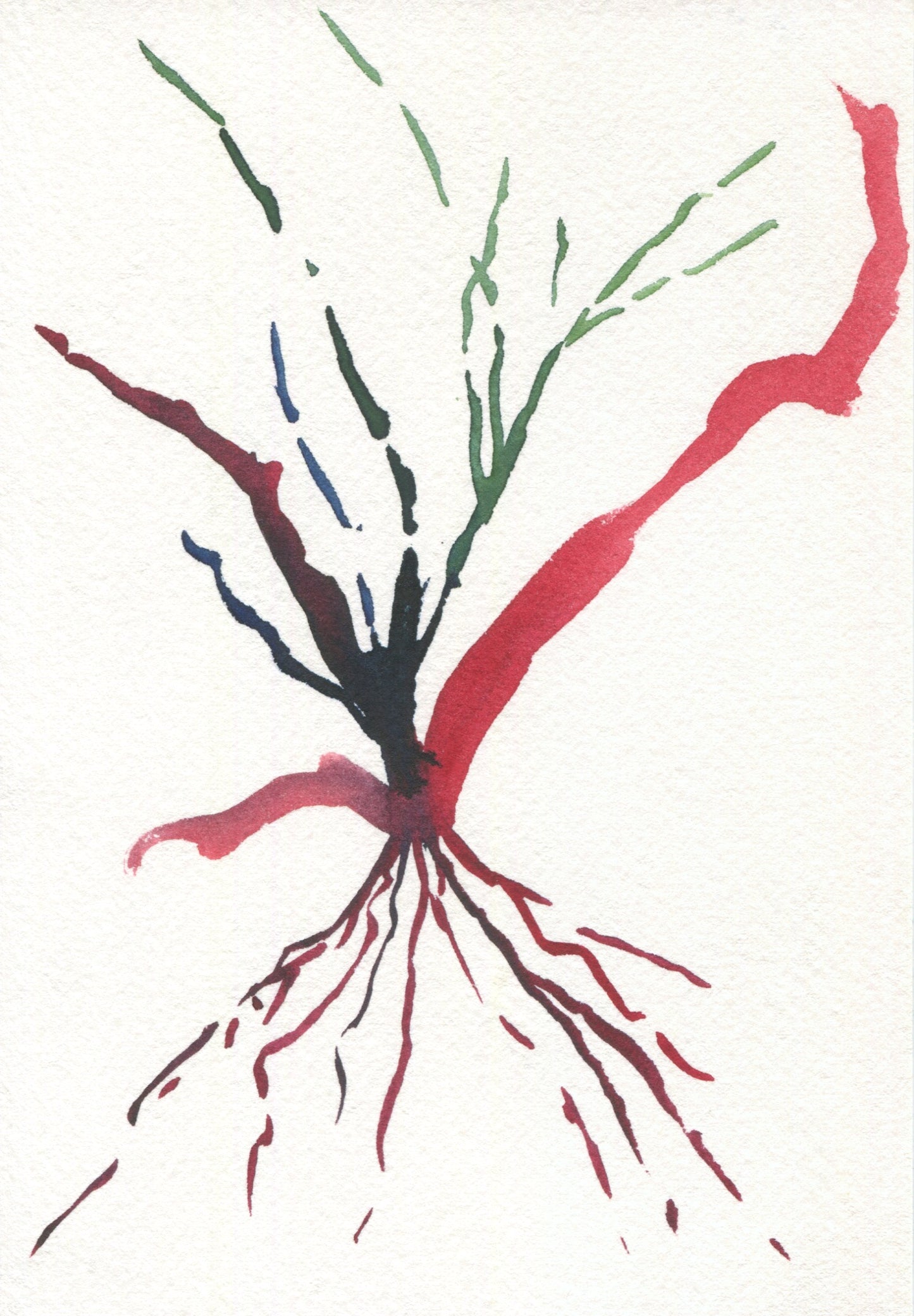 Anne Patterson, Year of Wonder, May 27-Jun 2, 2020