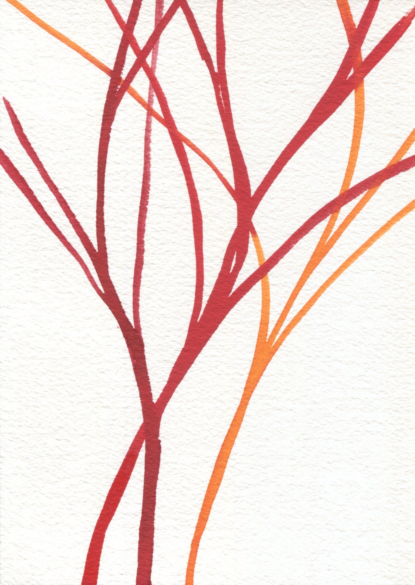 Anne Patterson, Year of Wonder, May 27-Jun 2, 2020