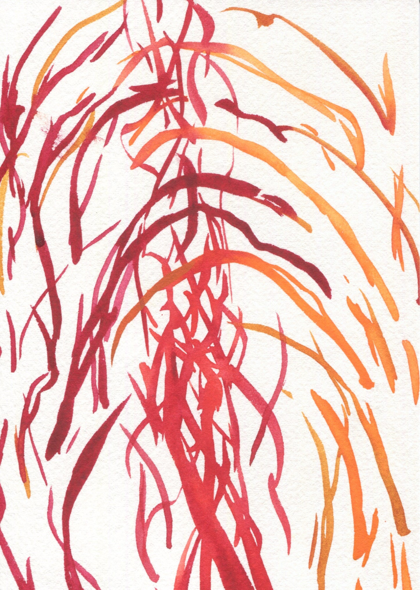 Anne Patterson, Year of Wonder, Jun 3-9, 2020