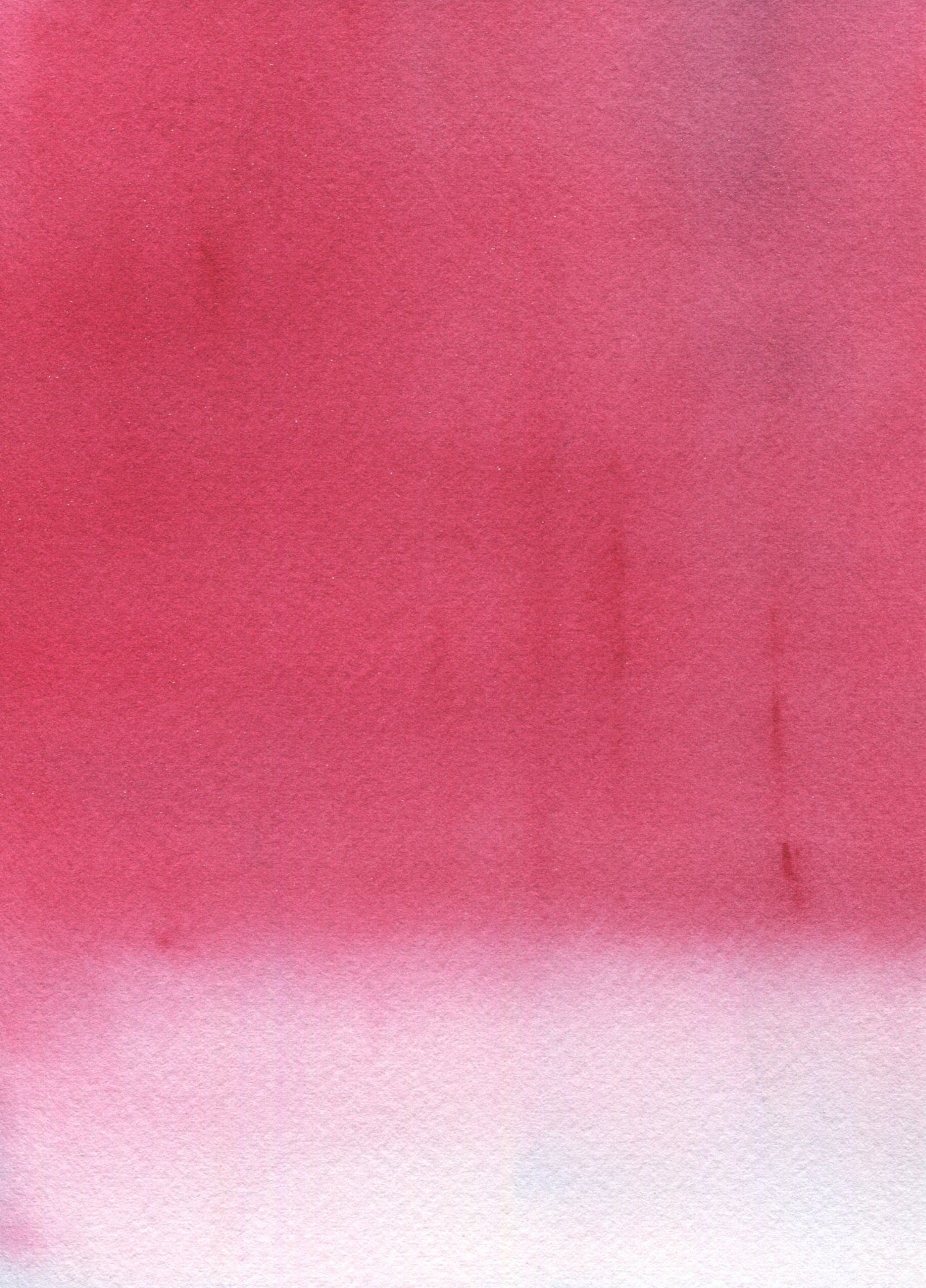 Anne Patterson, Year of Wonder, Jun 10-16, 2020