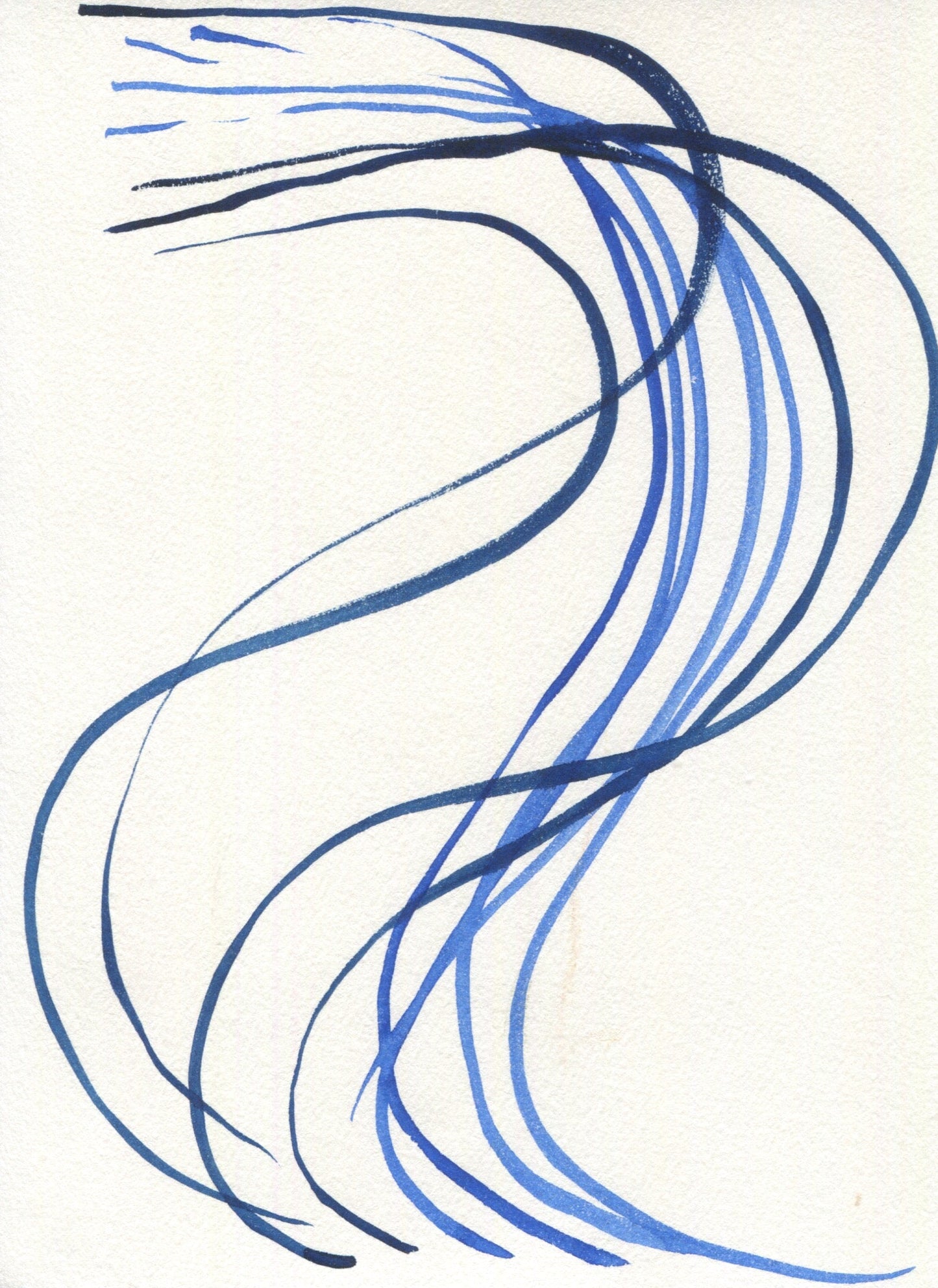 Anne Patterson, Year of Wonder, Jun 10-16, 2020