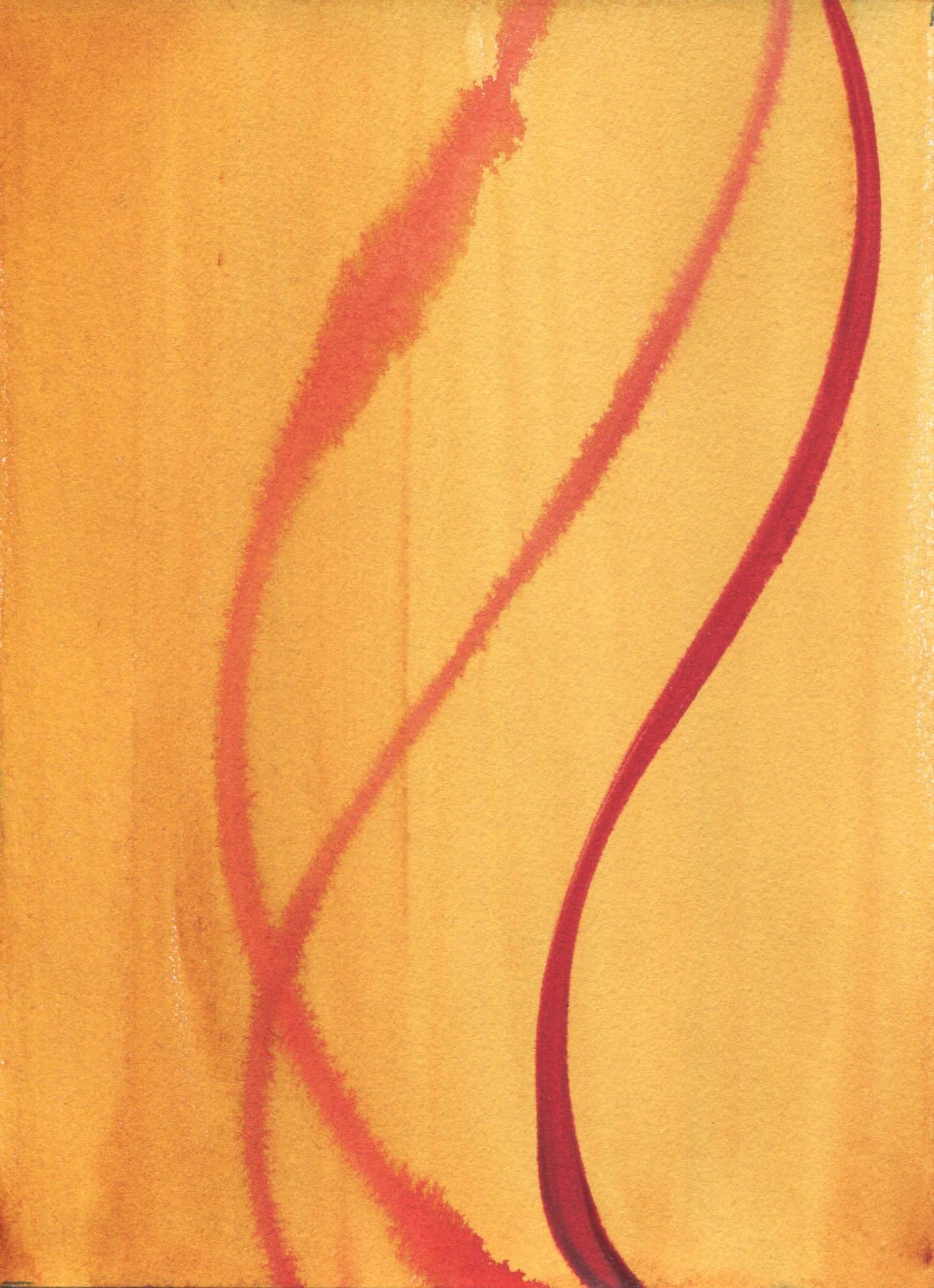 Anne Patterson, Year of Wonder, Jun 10-16, 2020