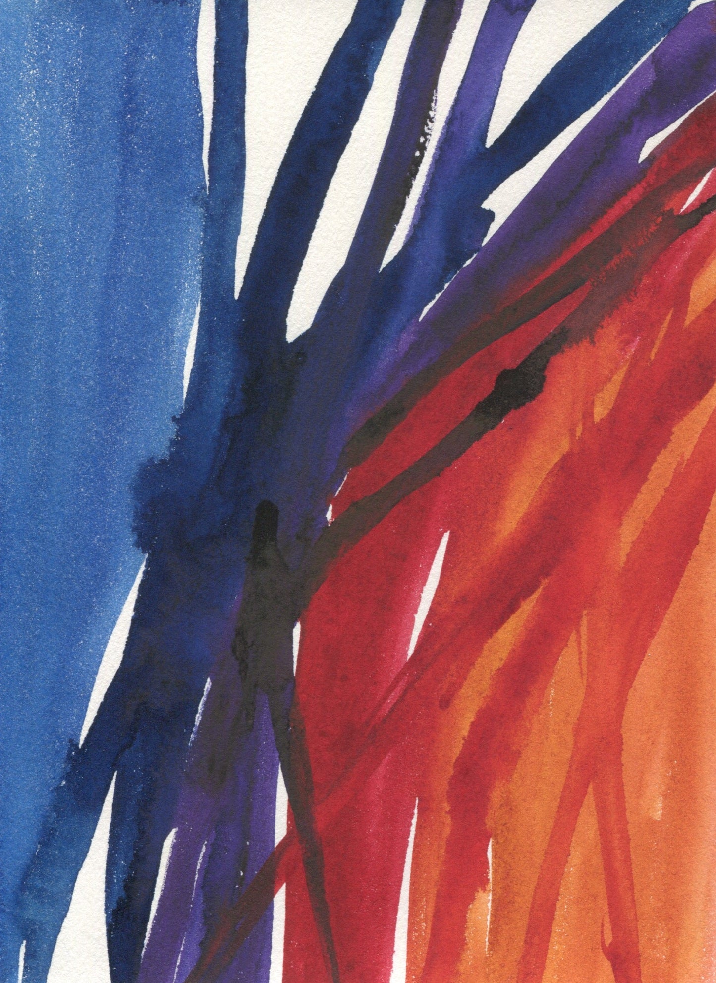 Anne Patterson, Year of Wonder, Jun 17-23, 2020