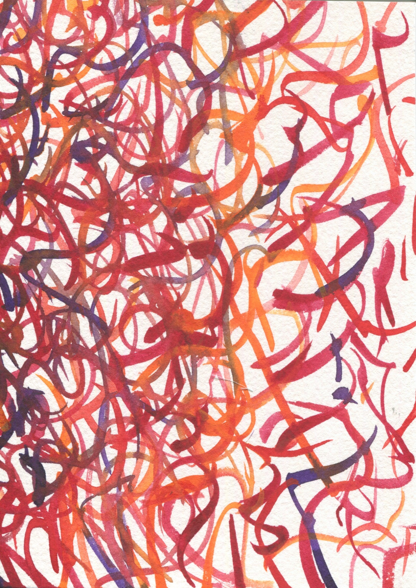 Anne Patterson, Year of Wonder, Jun 17-23, 2020
