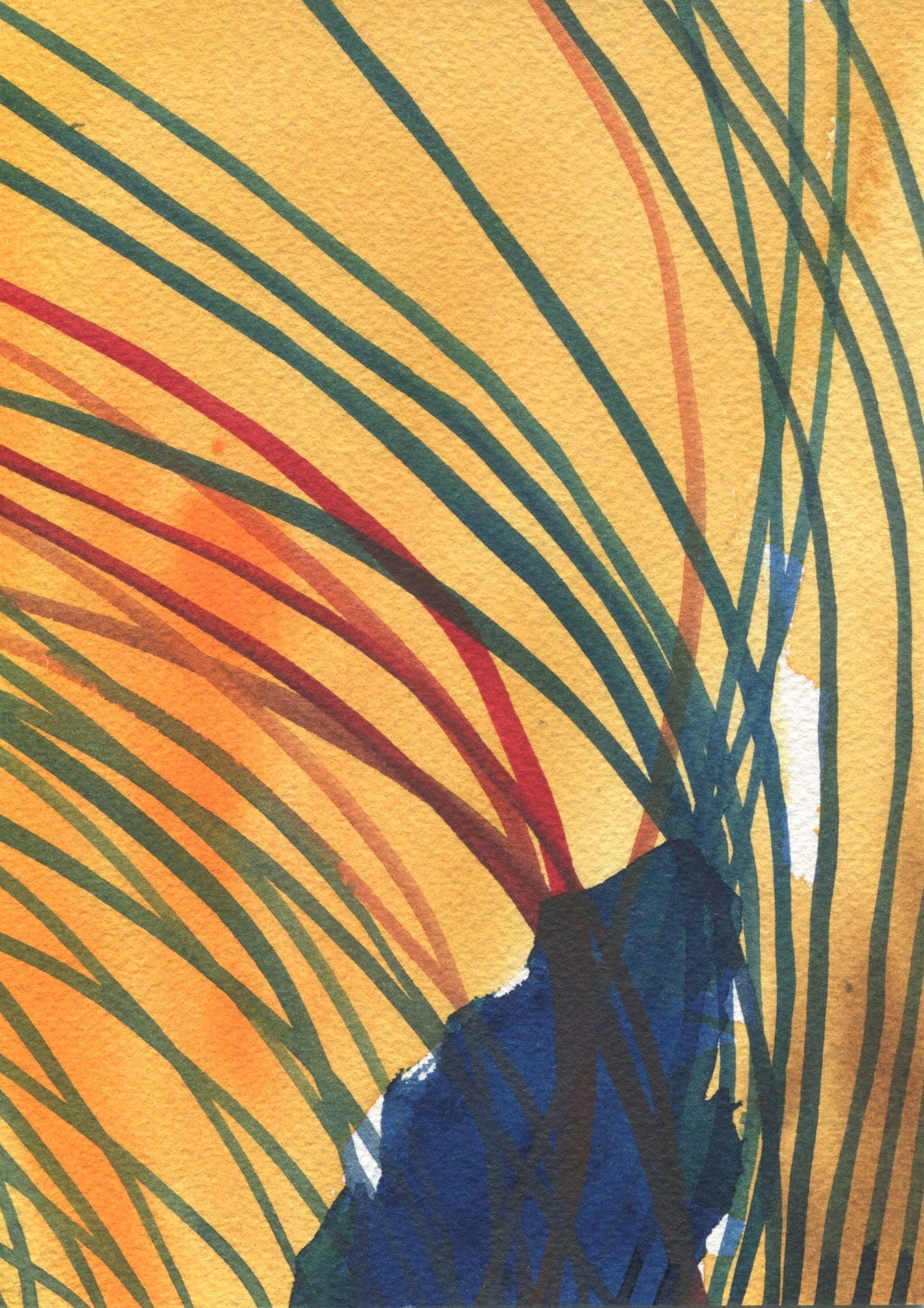 Anne Patterson, Year of Wonder, Jul 1-7, 2020
