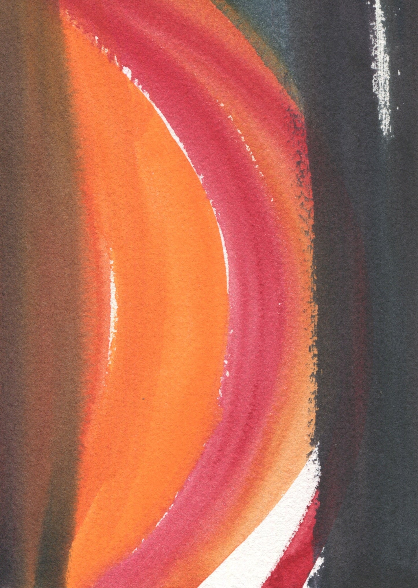 Anne Patterson, Year of Wonder, Jul 8-14, 2020