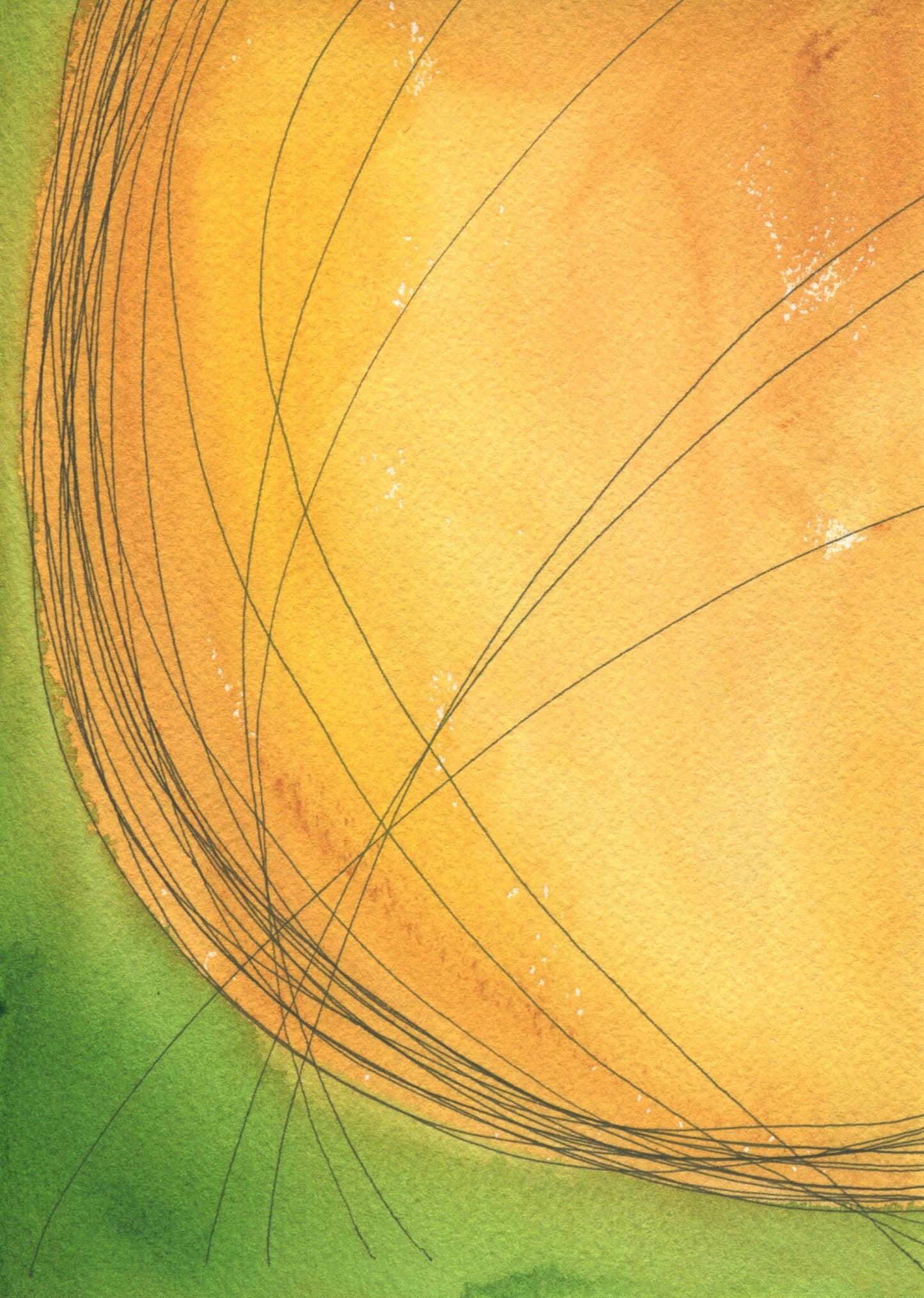 Anne Patterson, Year of Wonder, Jul 22-28, 2020