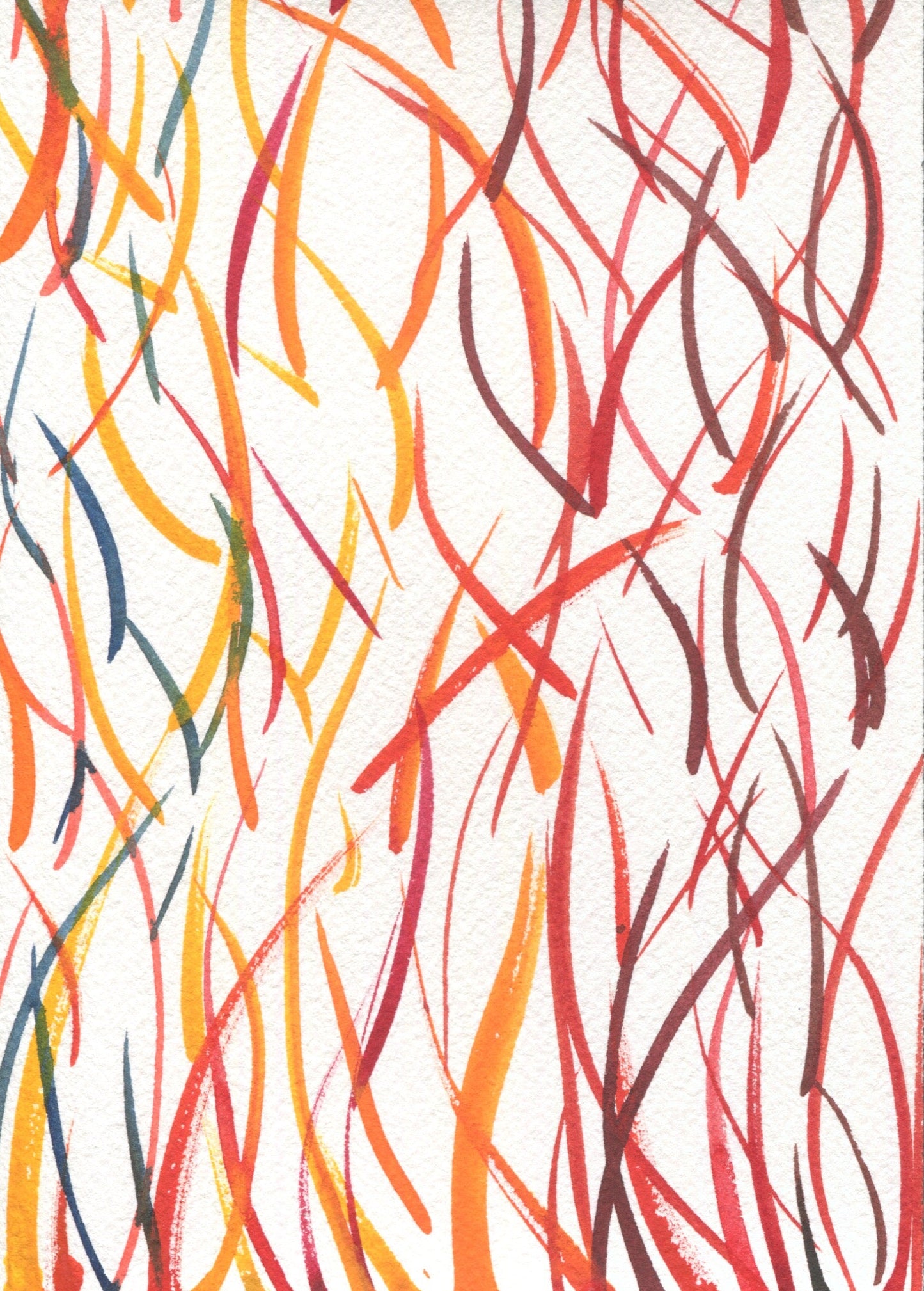 Anne Patterson, Year of Wonder, Jul 29-Aug 4, 2020