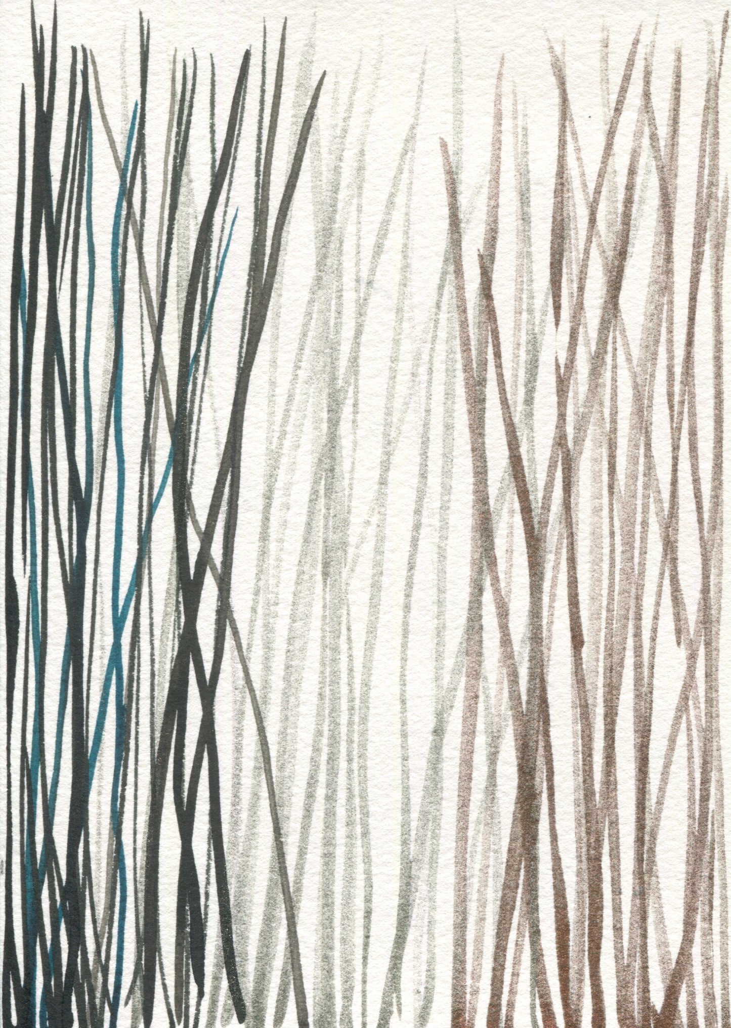 Anne Patterson, Year of Wonder, Aug 5-11, 2020