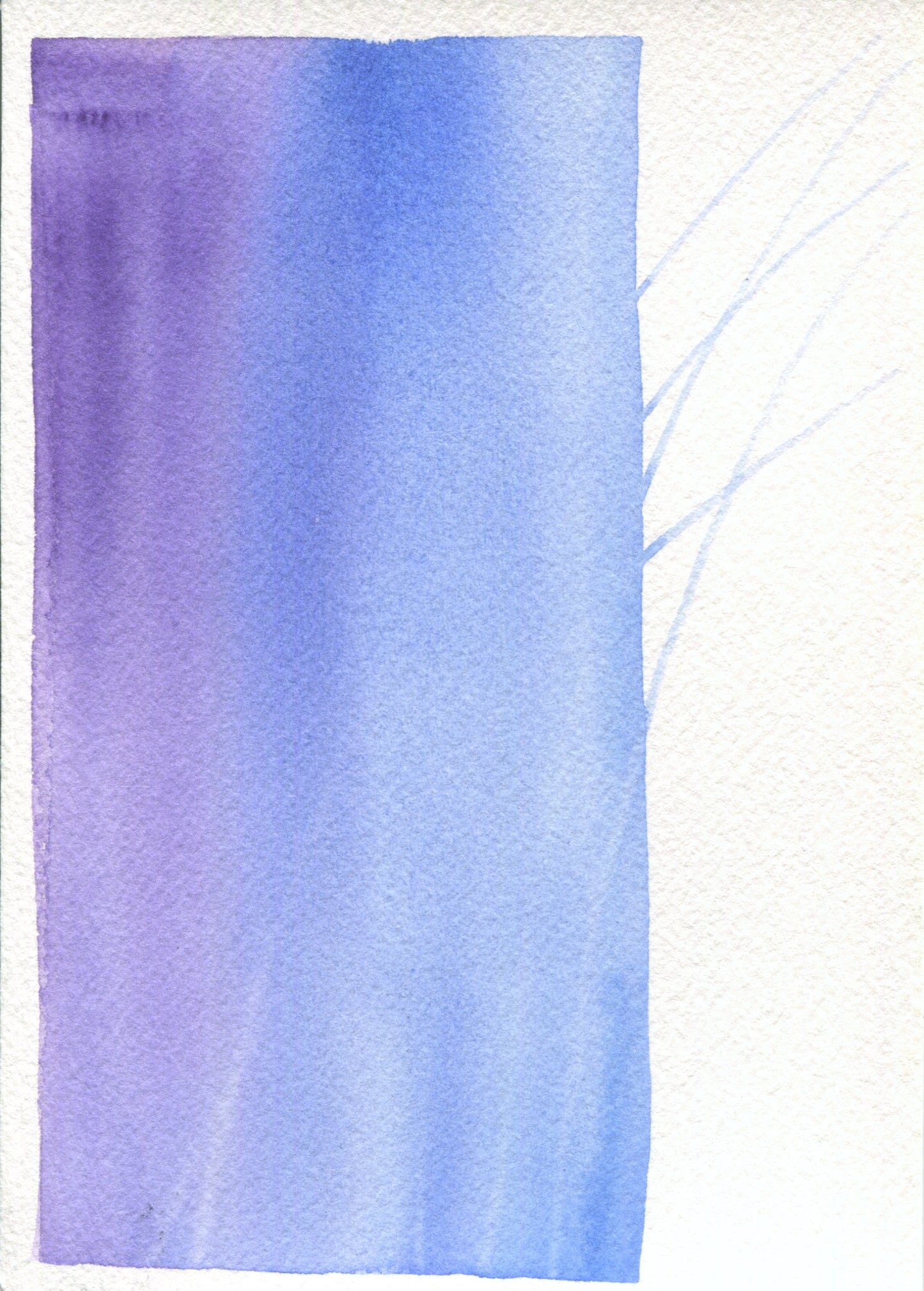 Anne Patterson, Year of Wonder, Aug 5-11, 2020