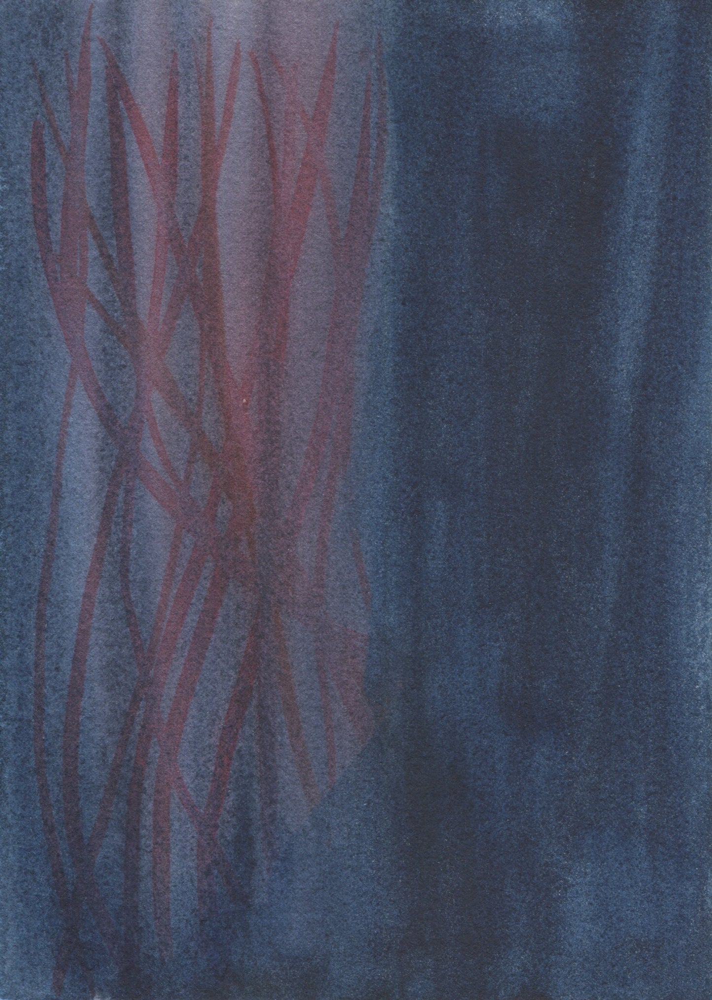 Anne Patterson, Year of Wonder, Aug 5-11, 2020