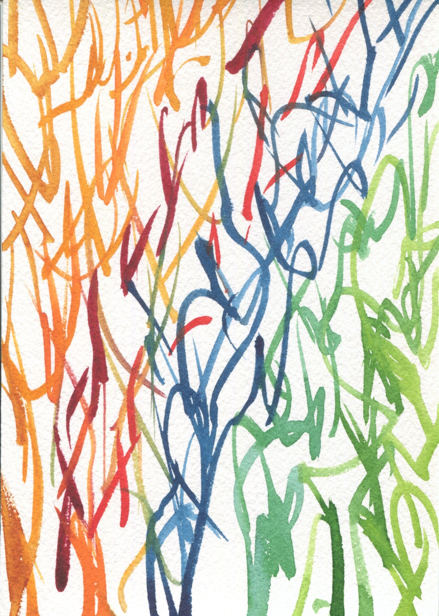 Anne Patterson, Year of Wonder, Aug 12-18, 2020