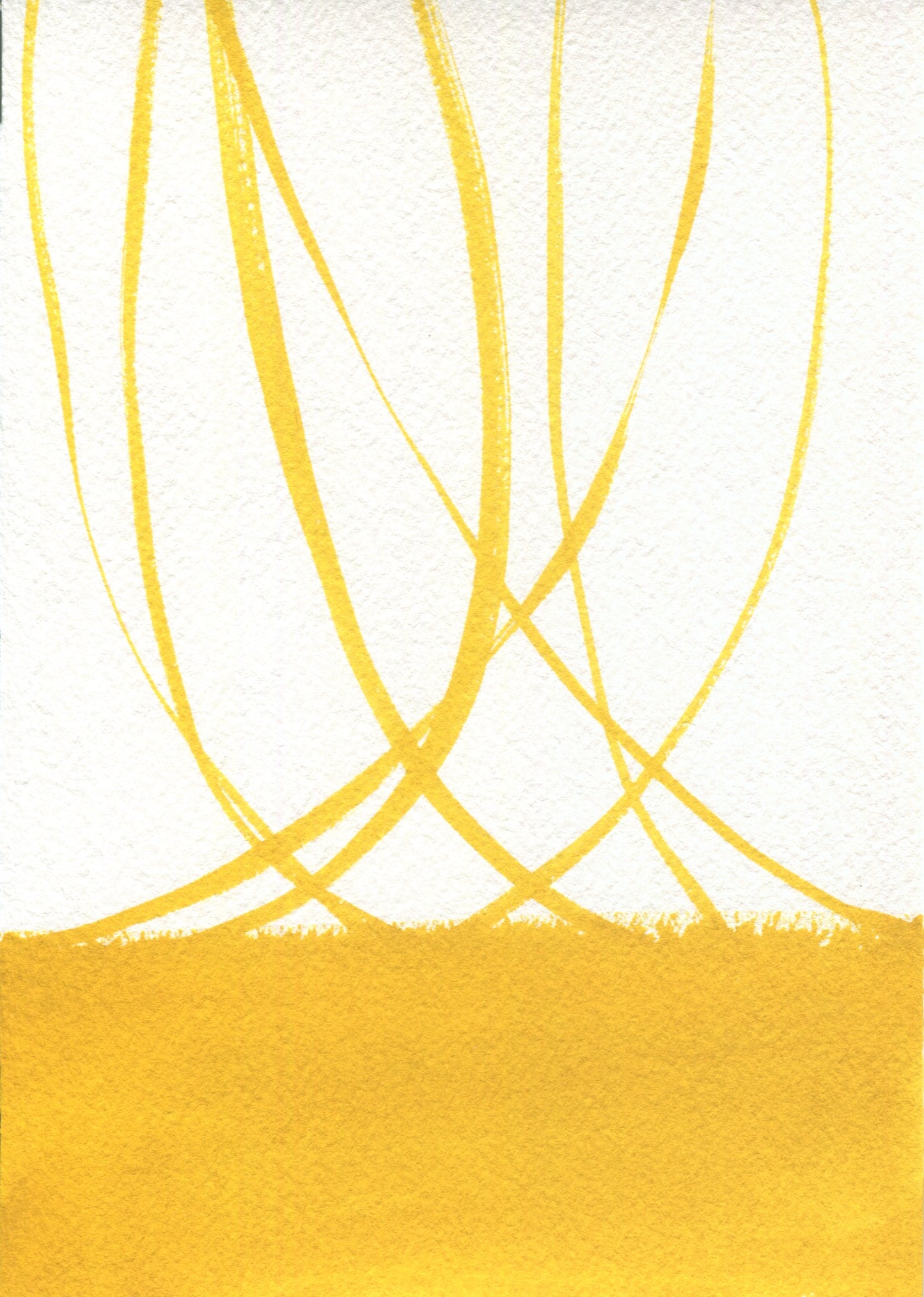 Anne Patterson, Year of Wonder, Aug 12-18, 2020