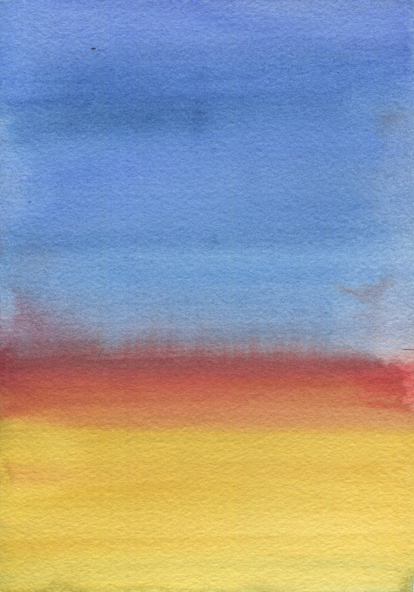 Anne Patterson, Year of Wonder, Aug 19-25, 2020