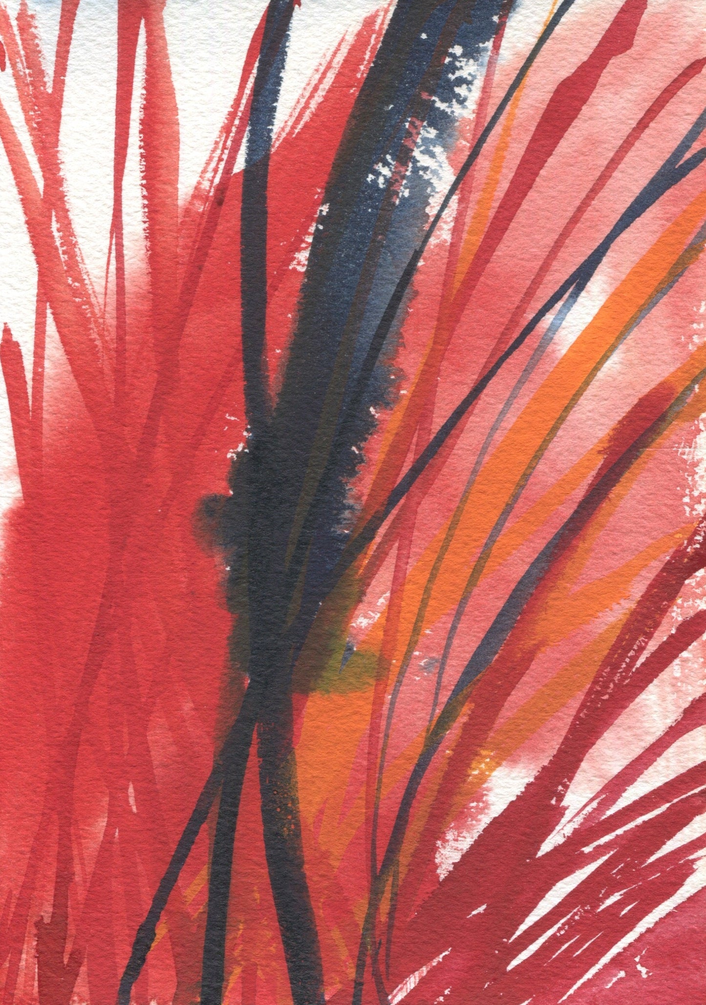 Anne Patterson, Year of Wonder, Aug 26-Sept 1, 2020