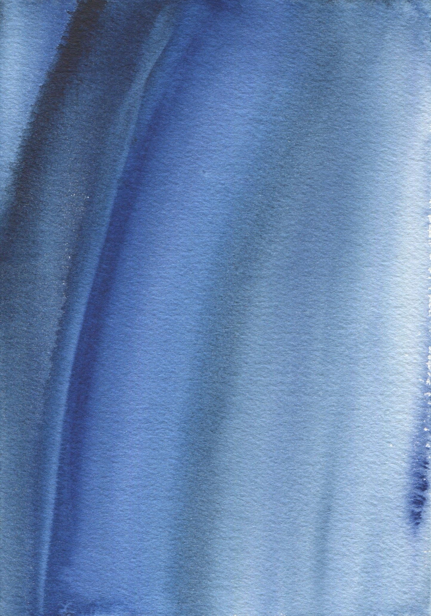 Anne Patterson, Year of Wonder, Sept 9-15, 2020