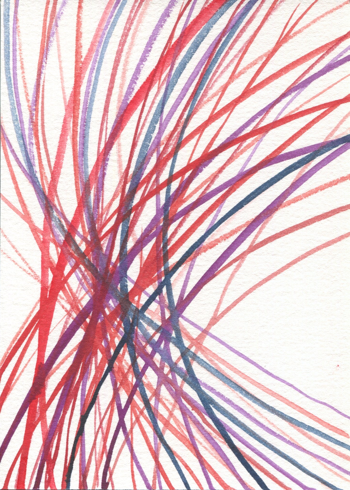 Anne Patterson, Year of Wonder, Sept 9-15, 2020