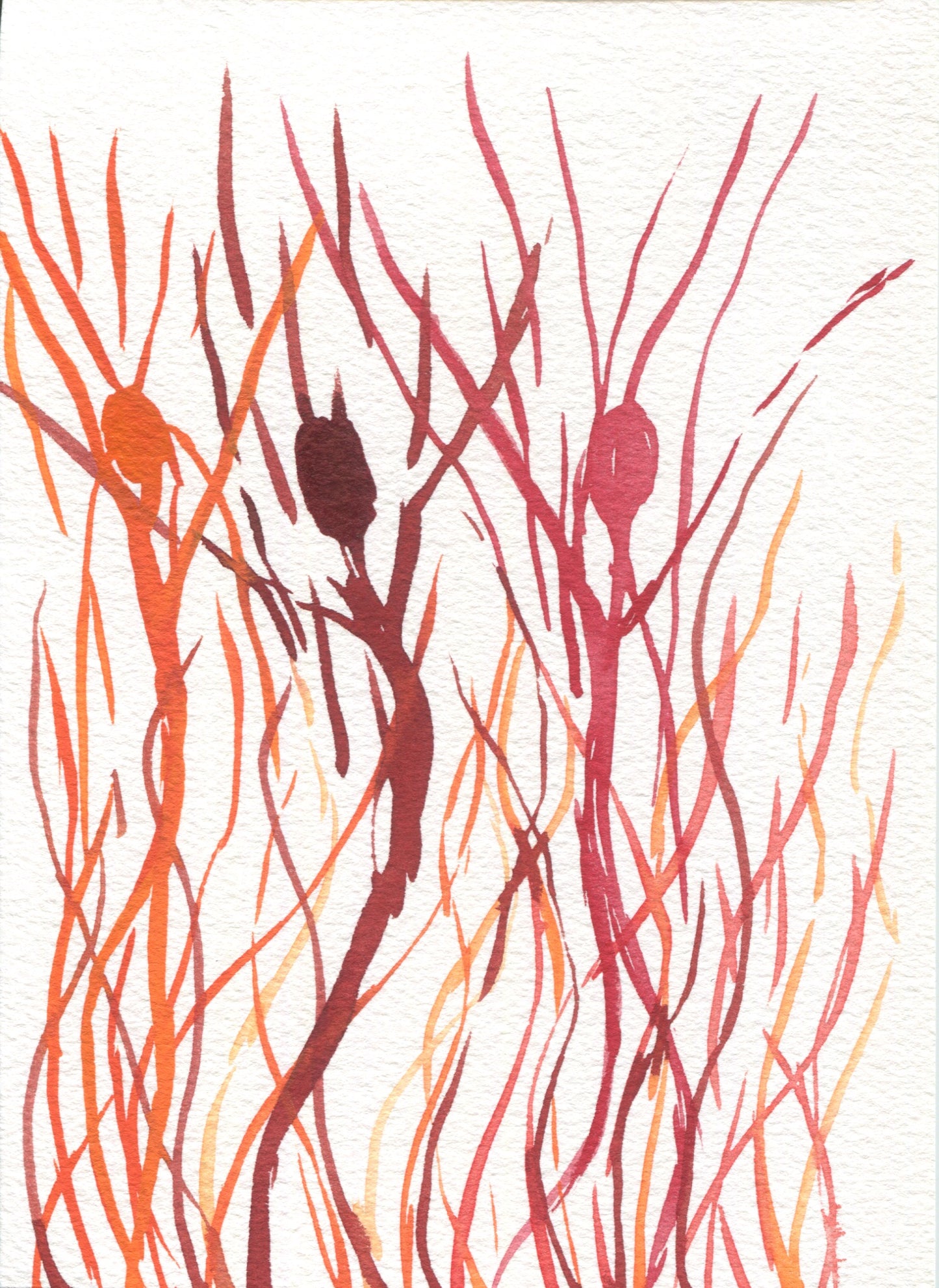 Anne Patterson, Year of Wonder, Sept 16-22, 2020