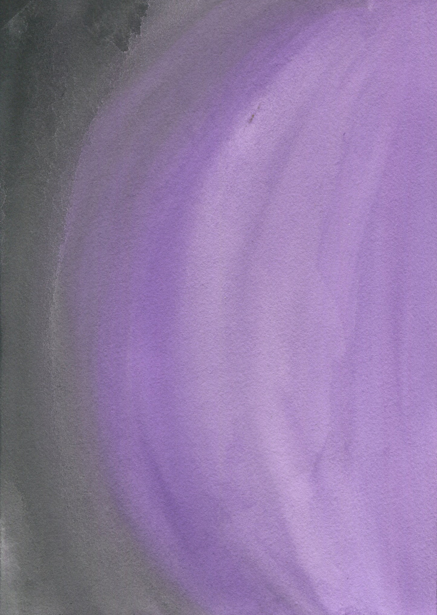 Anne Patterson, Year of Wonder, Sept 16-22, 2020