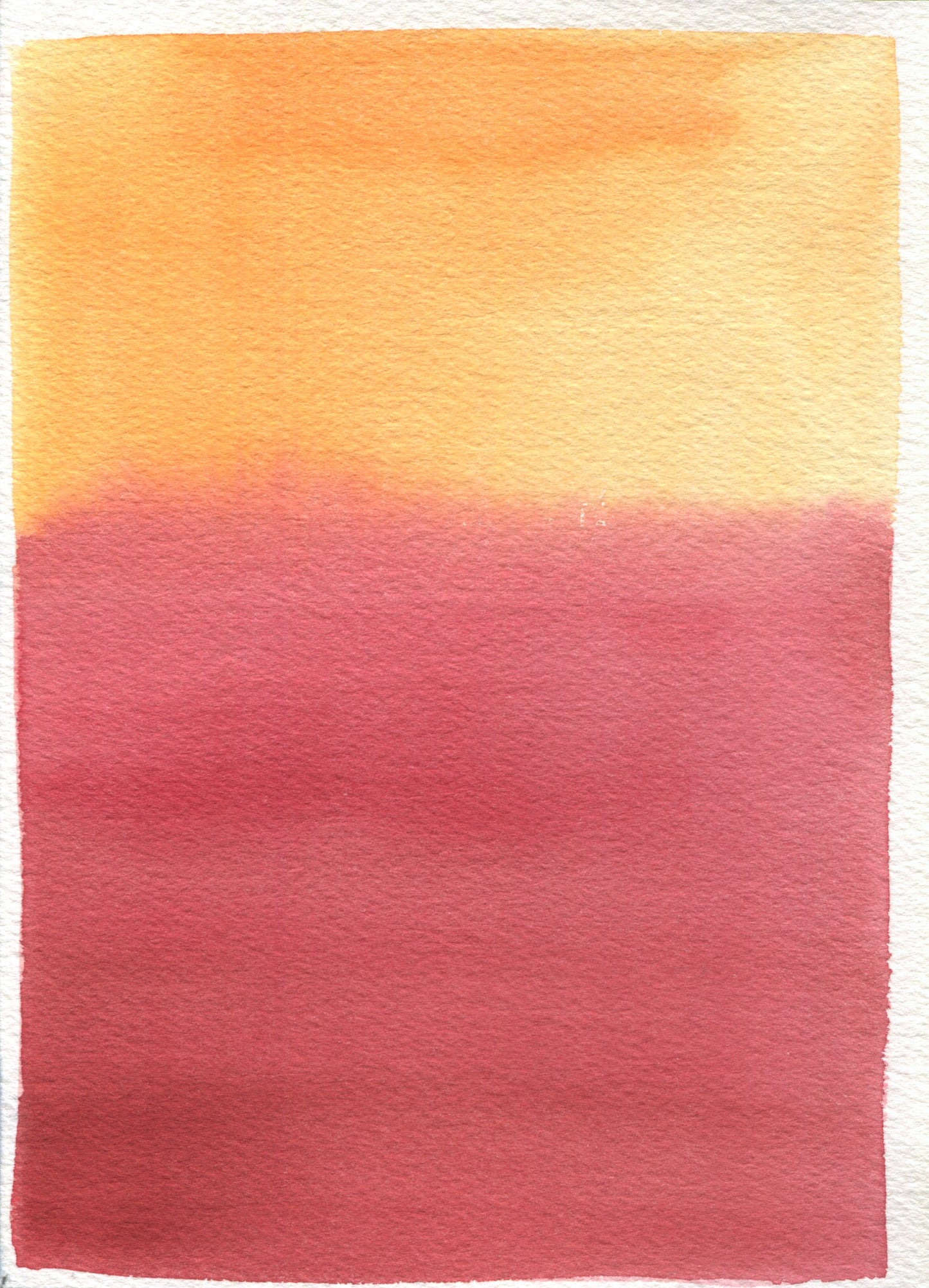 Anne Patterson, Year of Wonder, Sept 23-29, 2020