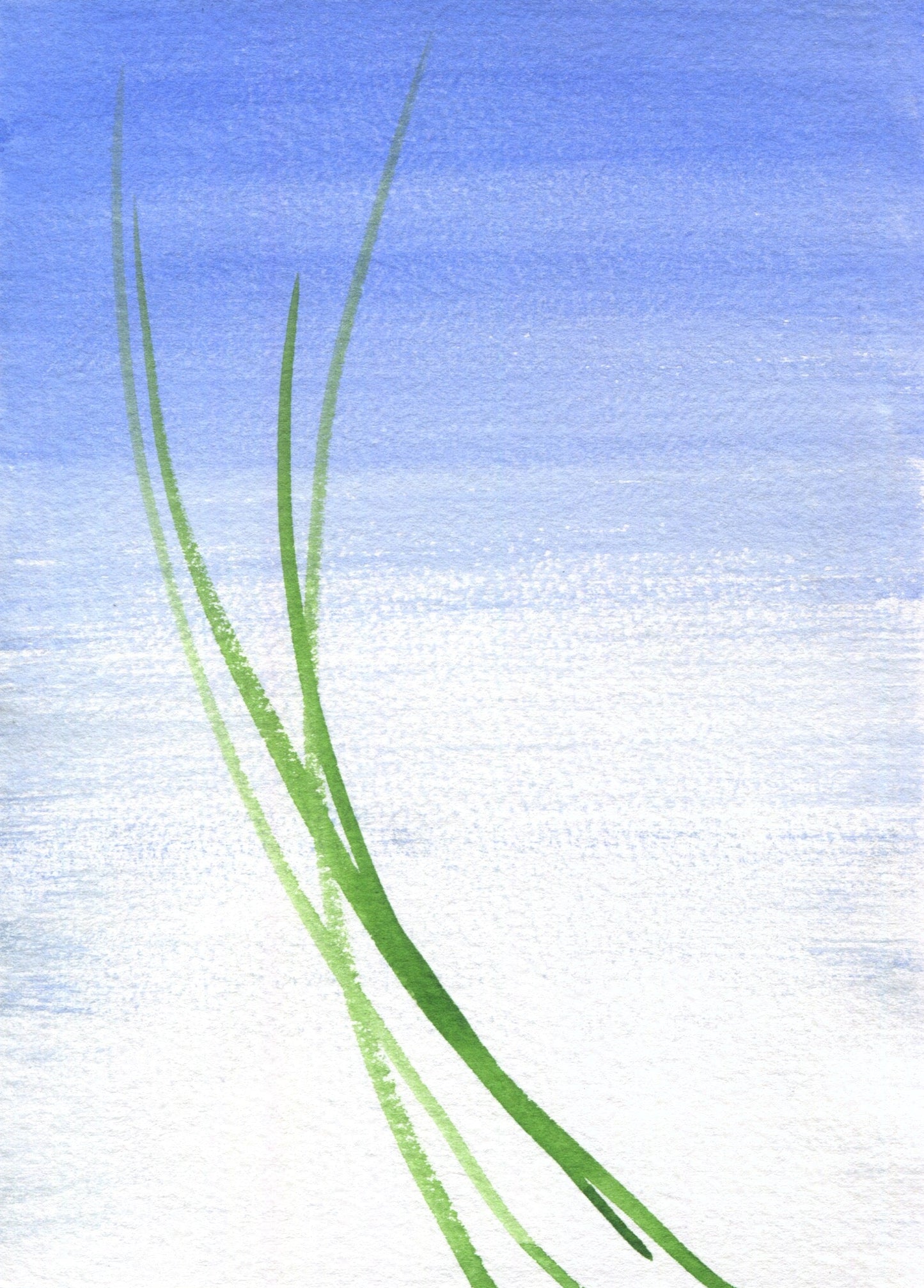 Anne Patterson, Year of Wonder, Sept 23-29, 2020