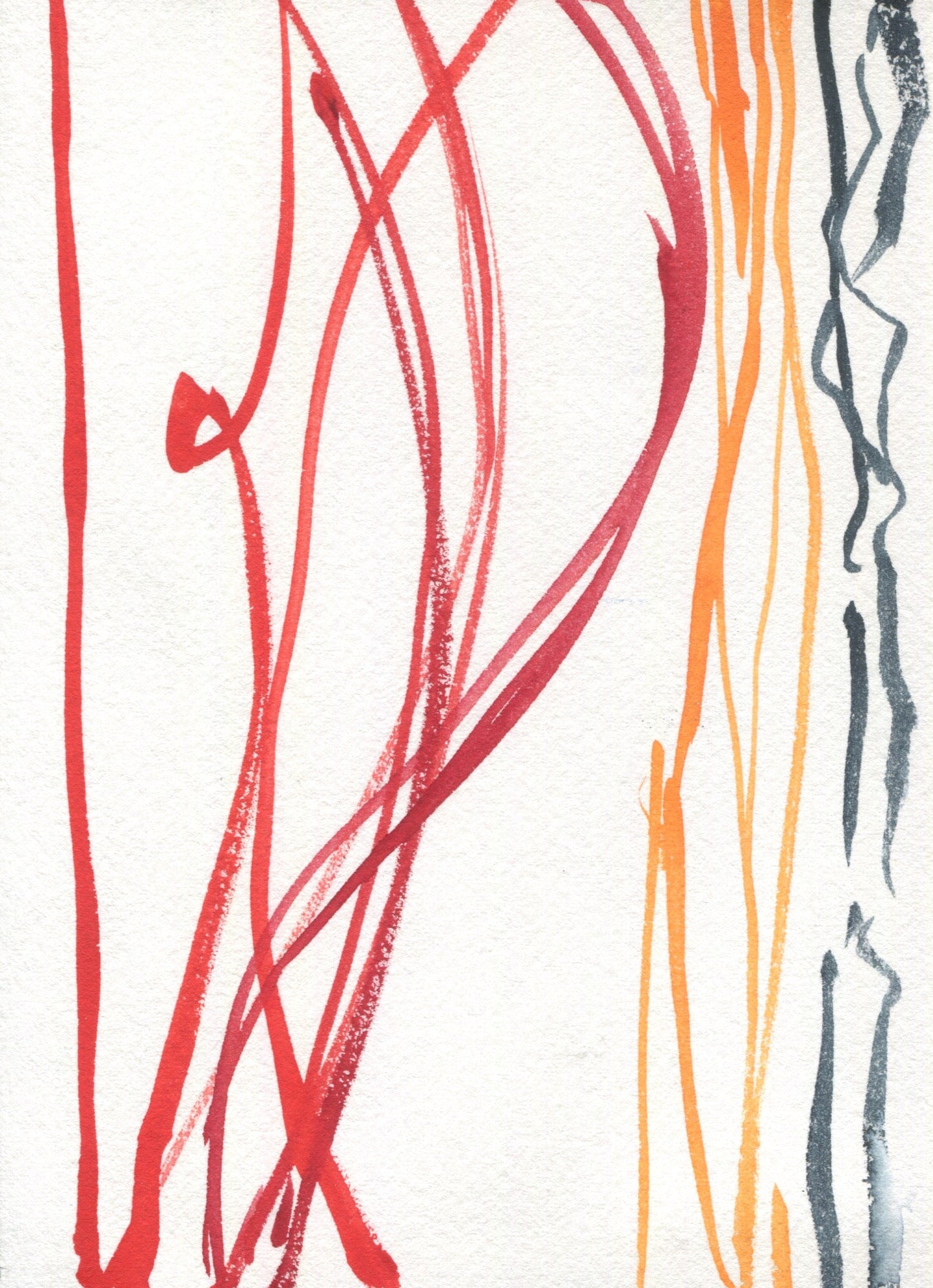 Anne Patterson, Year of Wonder, Oct 7-13, 2020