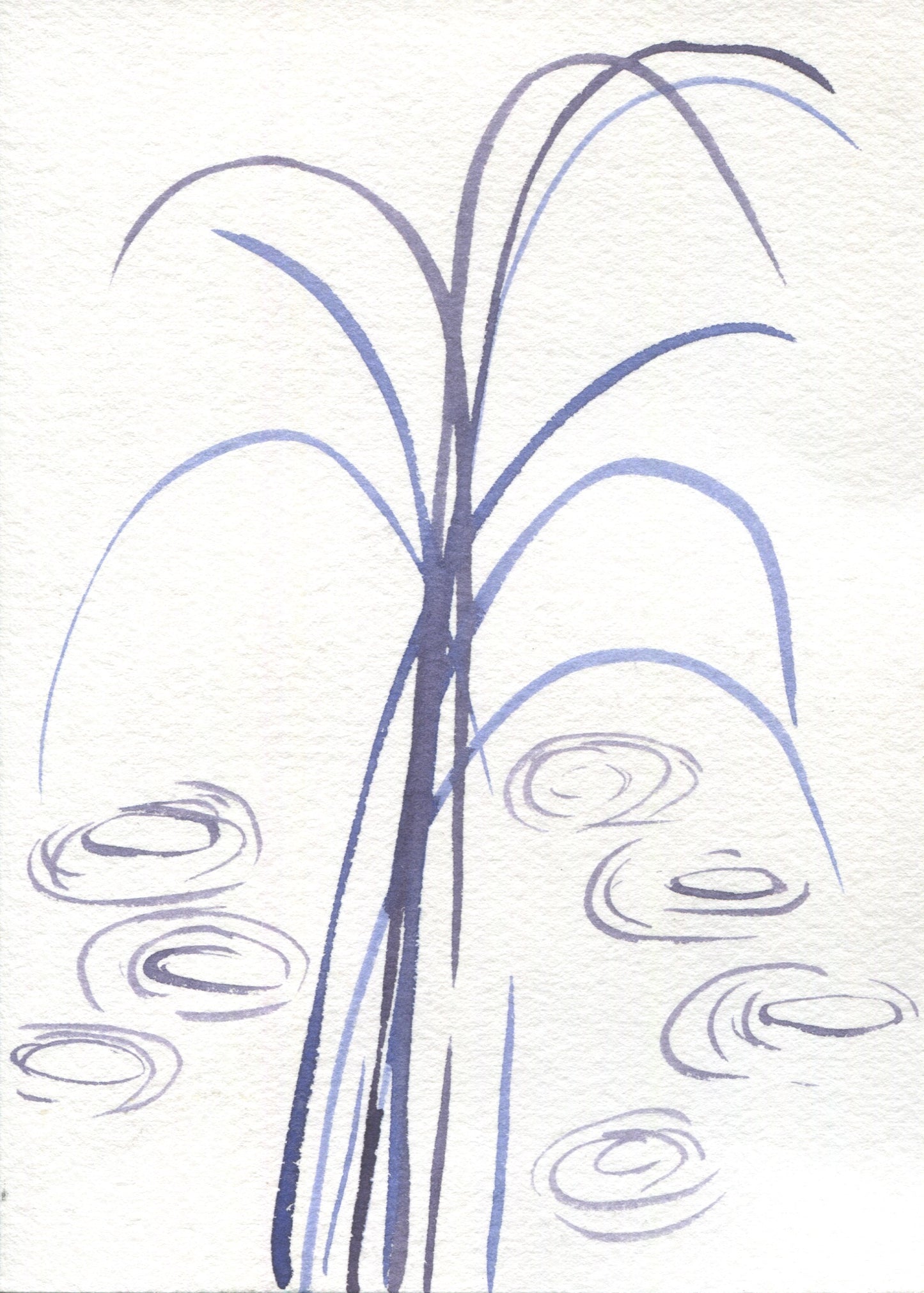 Anne Patterson, Year of Wonder, Oct 14-20, 2020