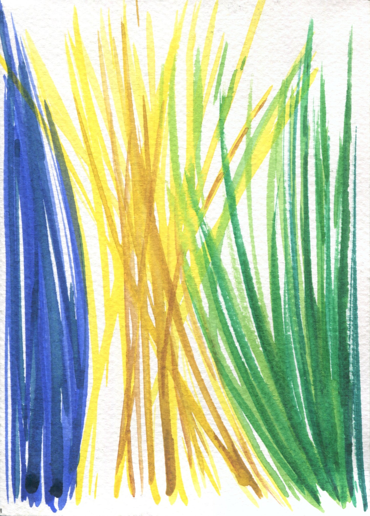 Anne Patterson, Year of Wonder, Oct 14-20, 2020