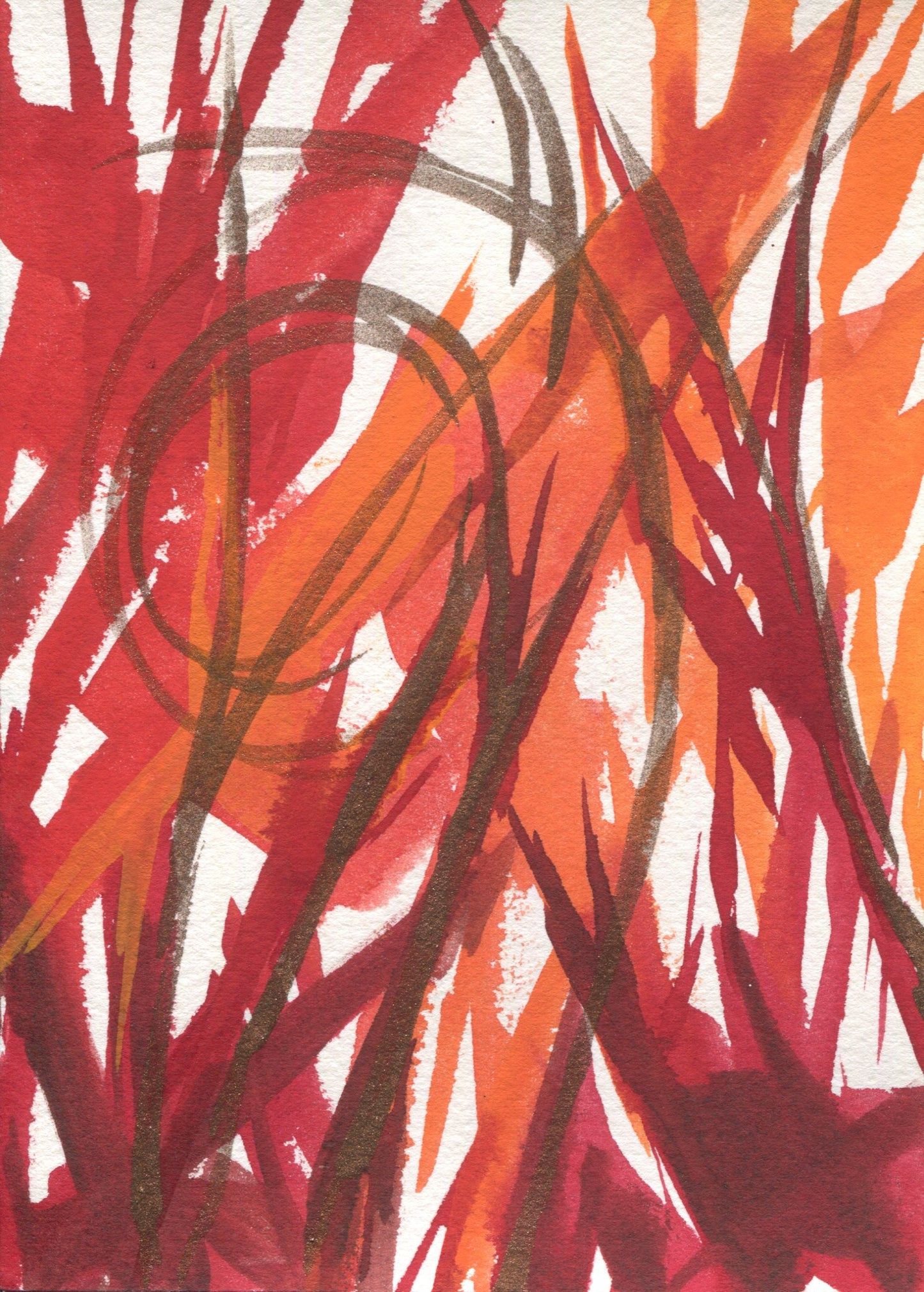 Anne Patterson, Year of Wonder, Oct 21-27, 2020