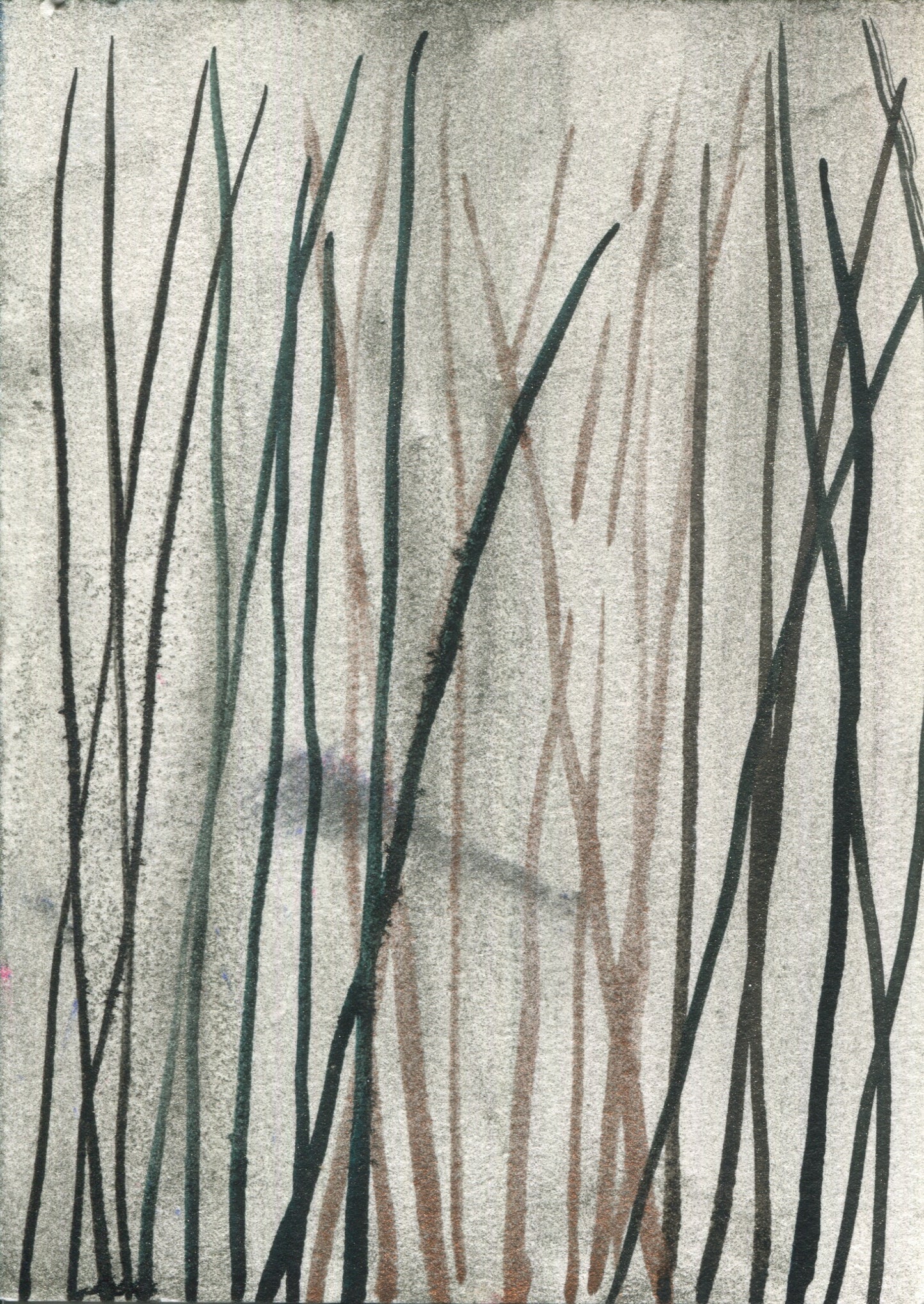 Anne Patterson, Year of Wonder, Oct 21-27, 2020