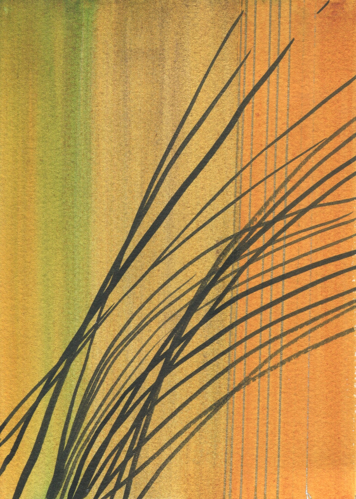 Anne Patterson, Year of Wonder, Oct 21-27, 2020